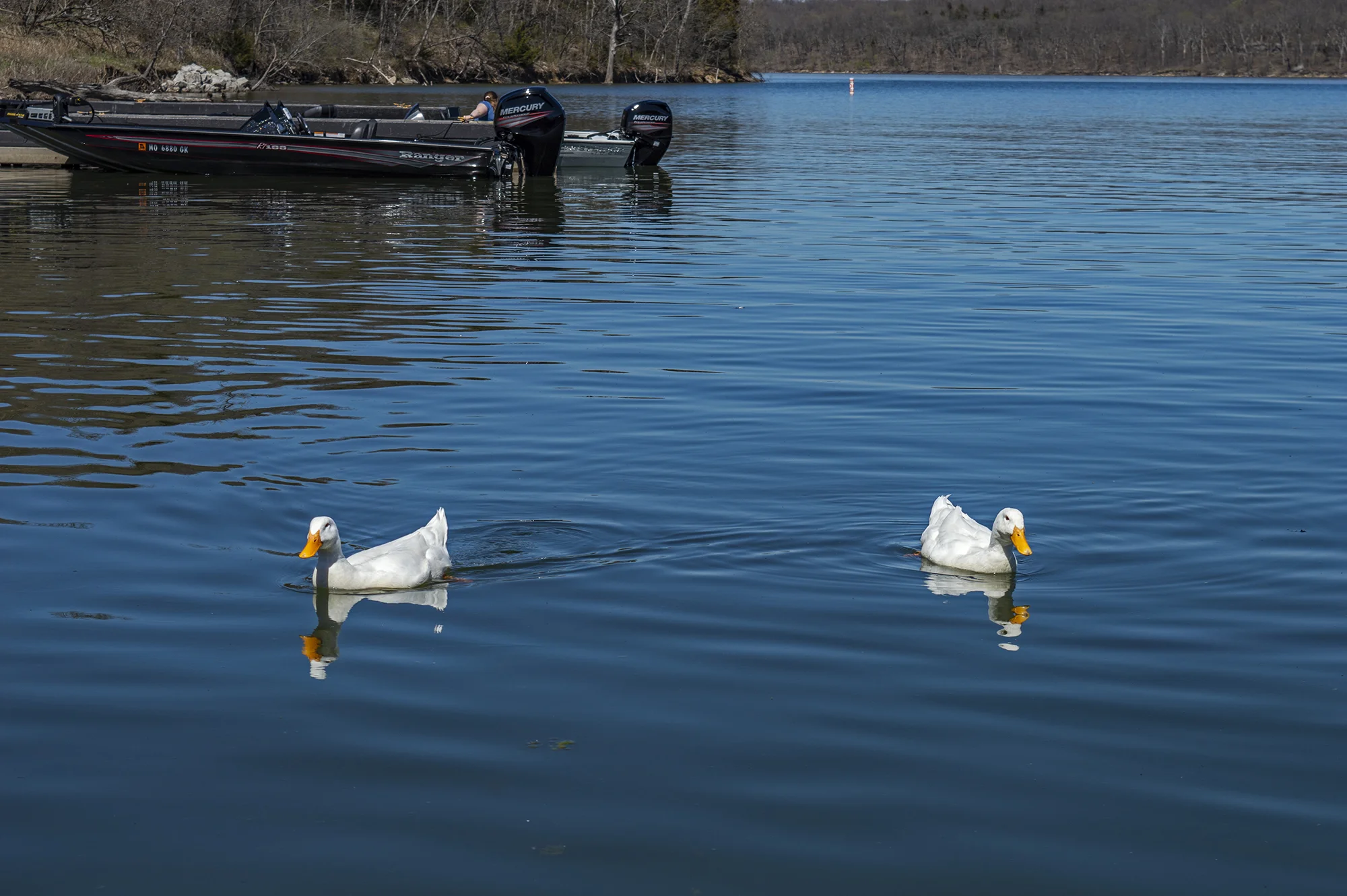 DSC_0008 LR.jpg