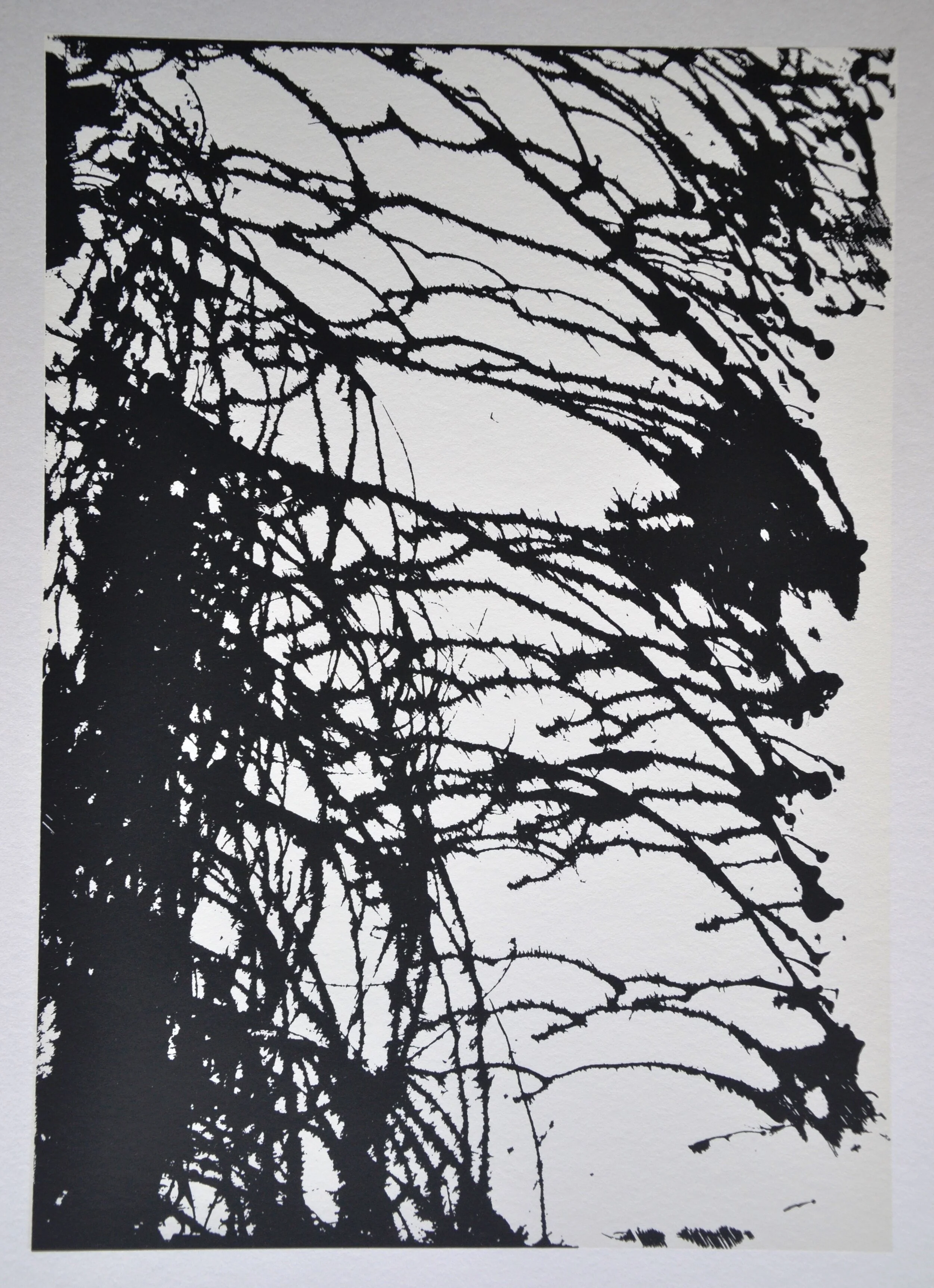 Temporal I  screenprint black on white 55x73cm print 30x42cm on Canson Academy - tirage 5 - 2013.JPG