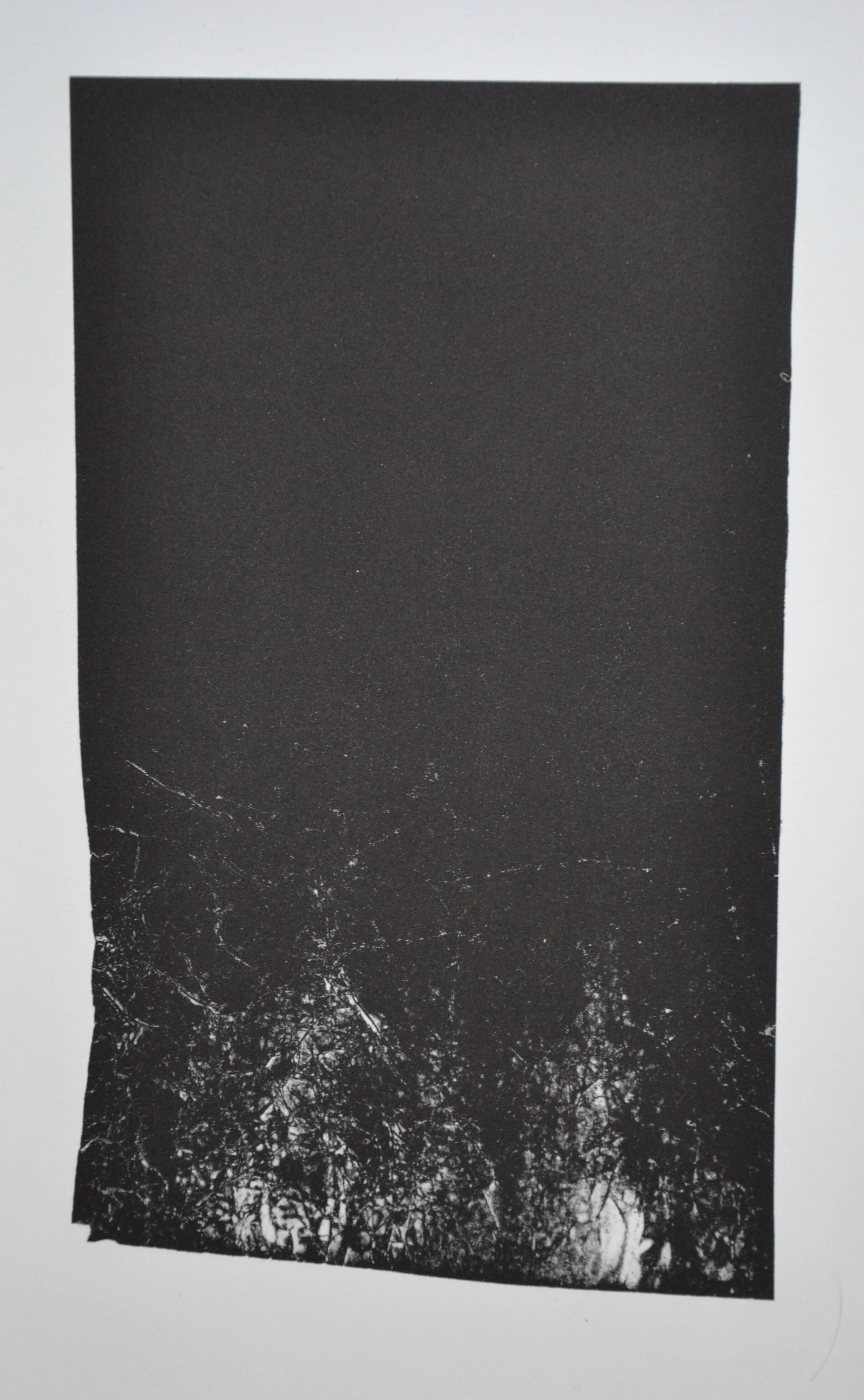 Waste Paper / Black Paper