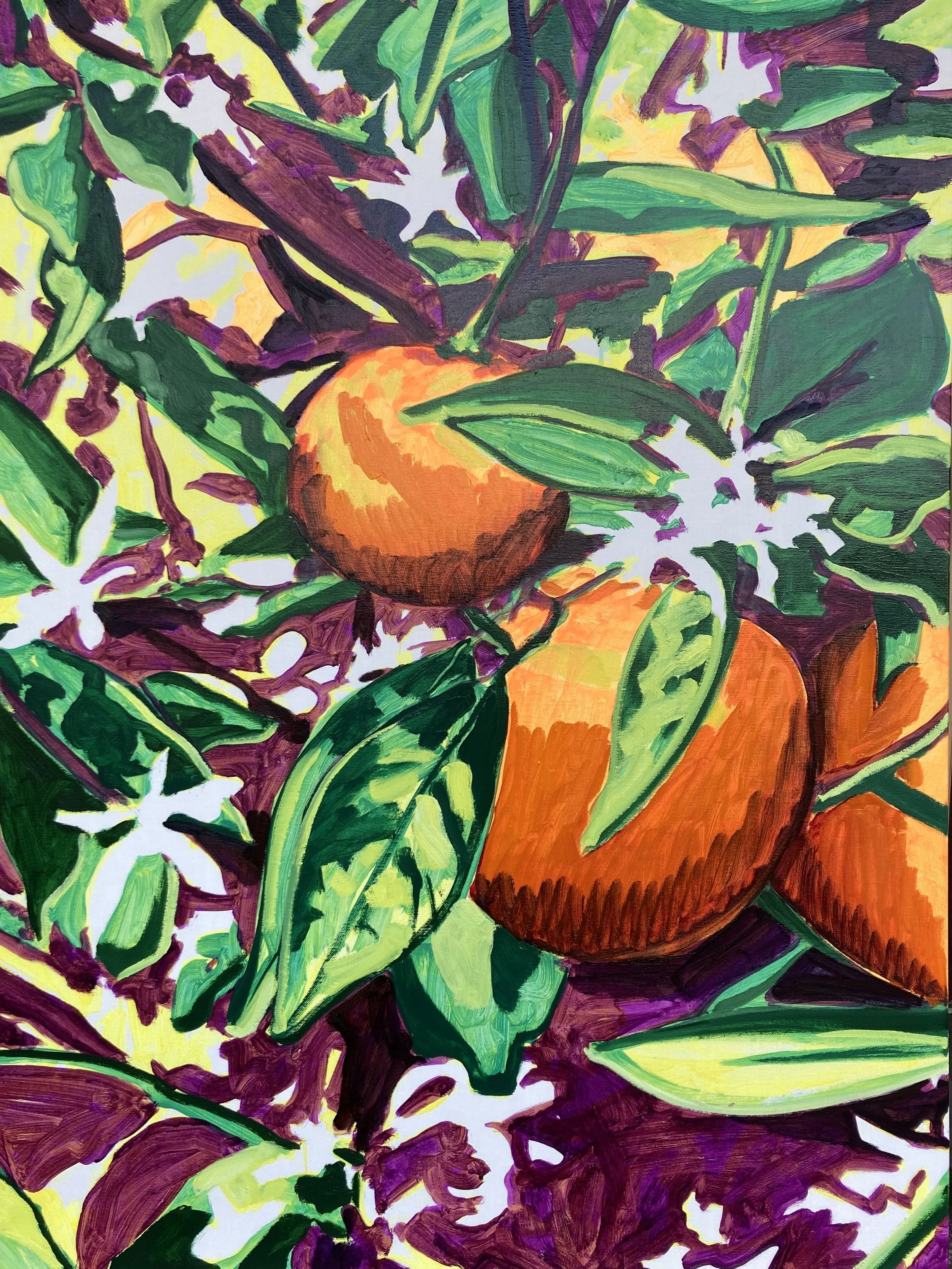 Scott Owen_ Orange Blossoms_122x91cm.jpg