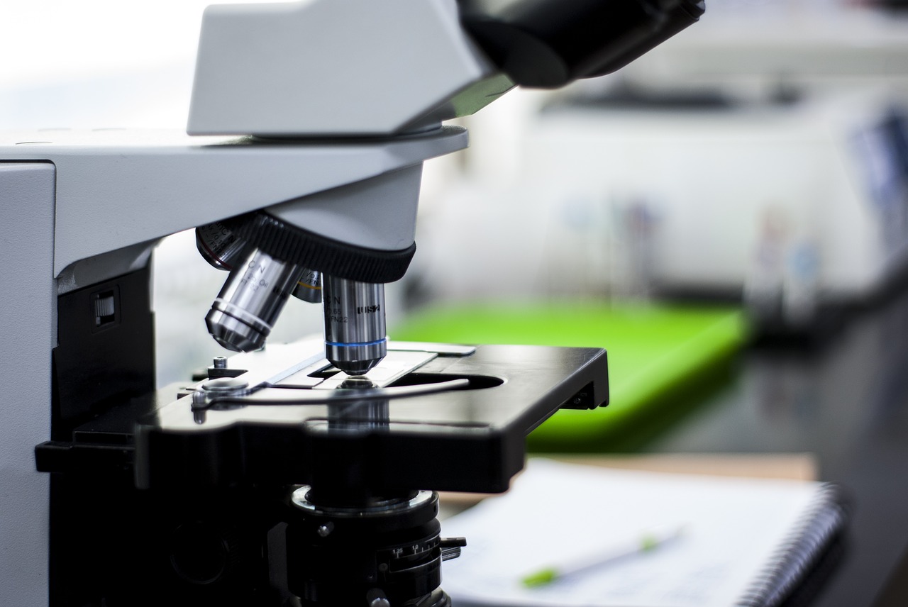 lab-3498585_1280.jpg