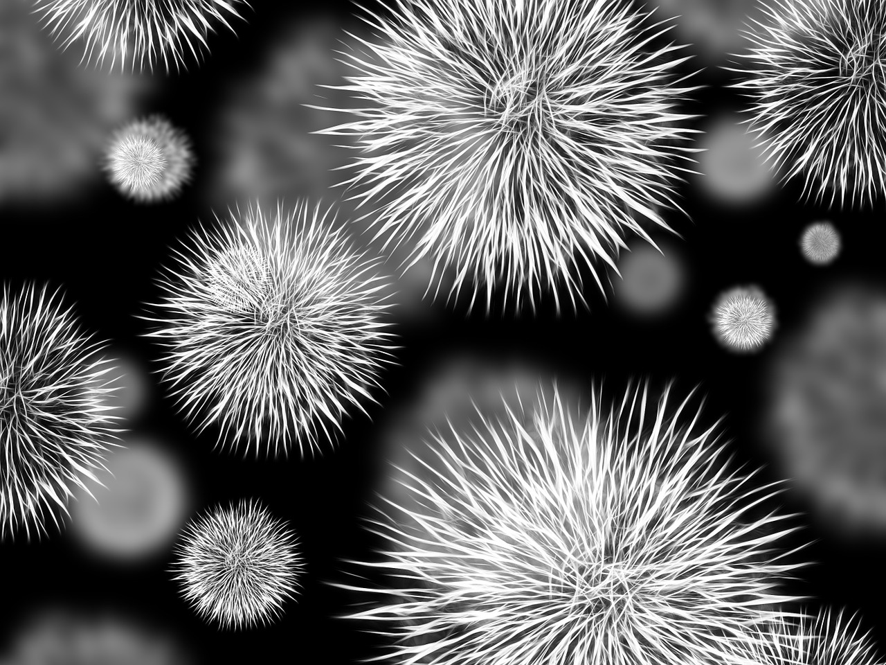 bacteria-426998_1280.jpg