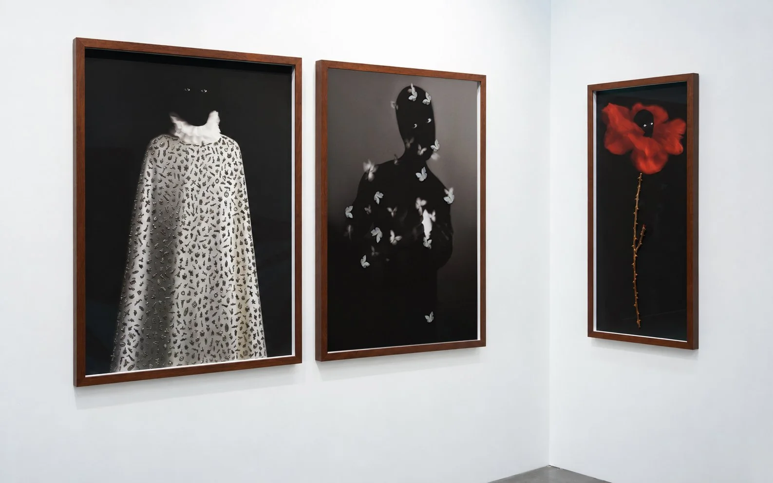    What We Are Becoming     Solo presentation     The Armory Show at the Javits Center  
