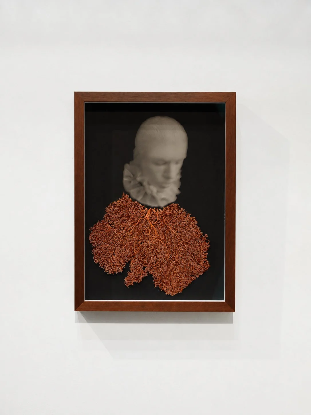    What We Are Becoming     Solo presentation     The Armory Show at the Javits Center  