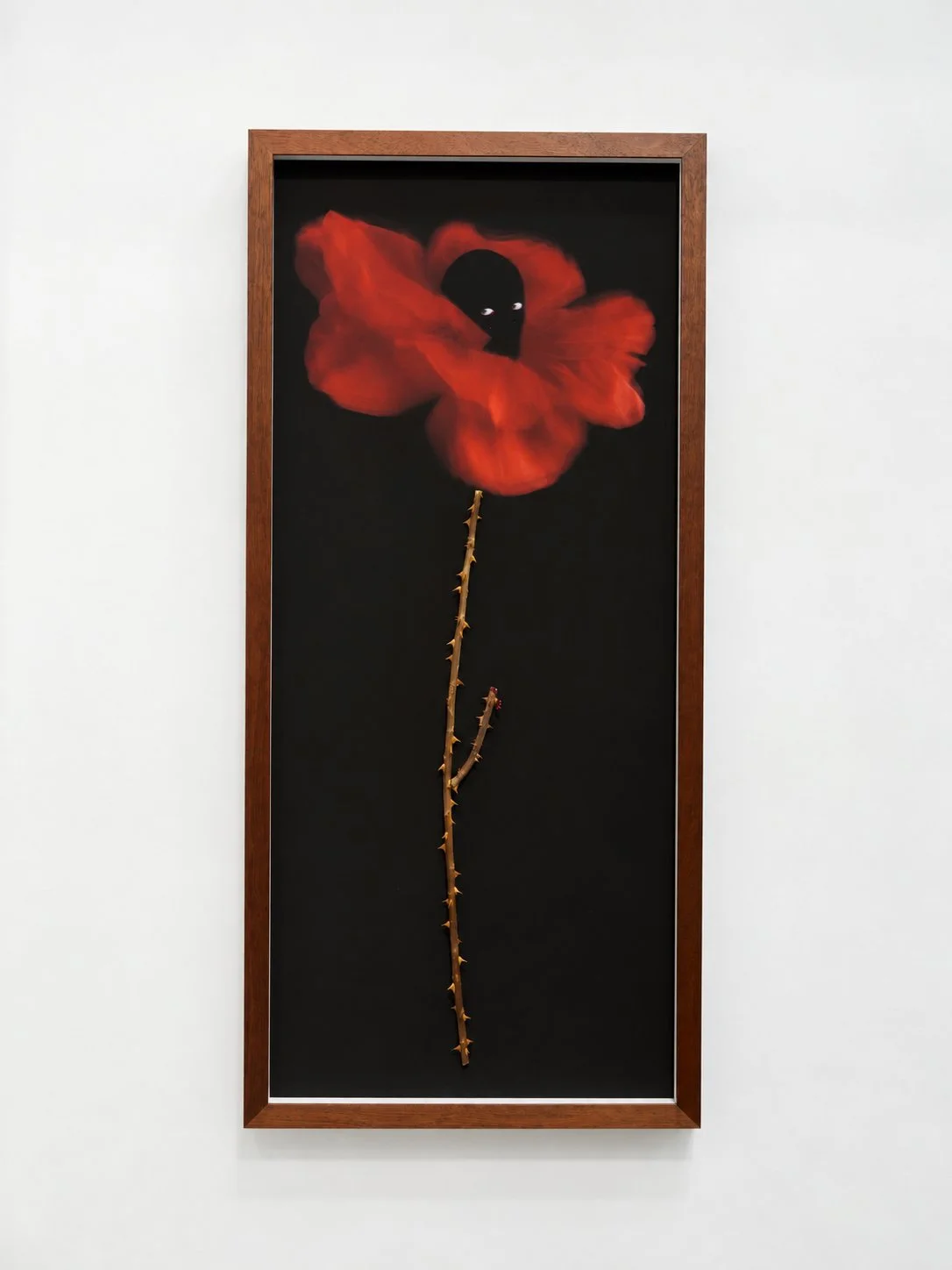    What We Are Becoming     Solo presentation     The Armory Show at the Javits Center  