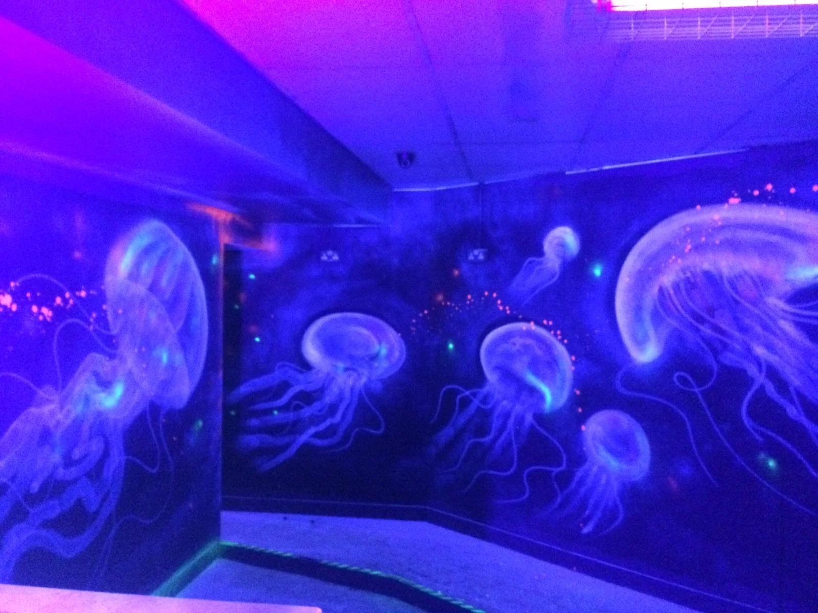 550f7c51-0c6f-4caa-bfef-6535778512b0 2.JPG