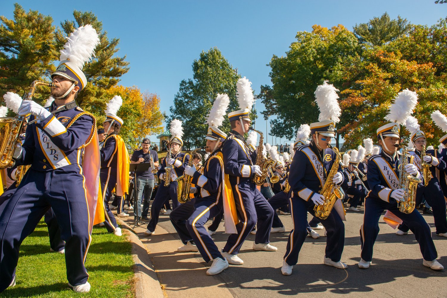 Types of Musical Ensembles- Marching band