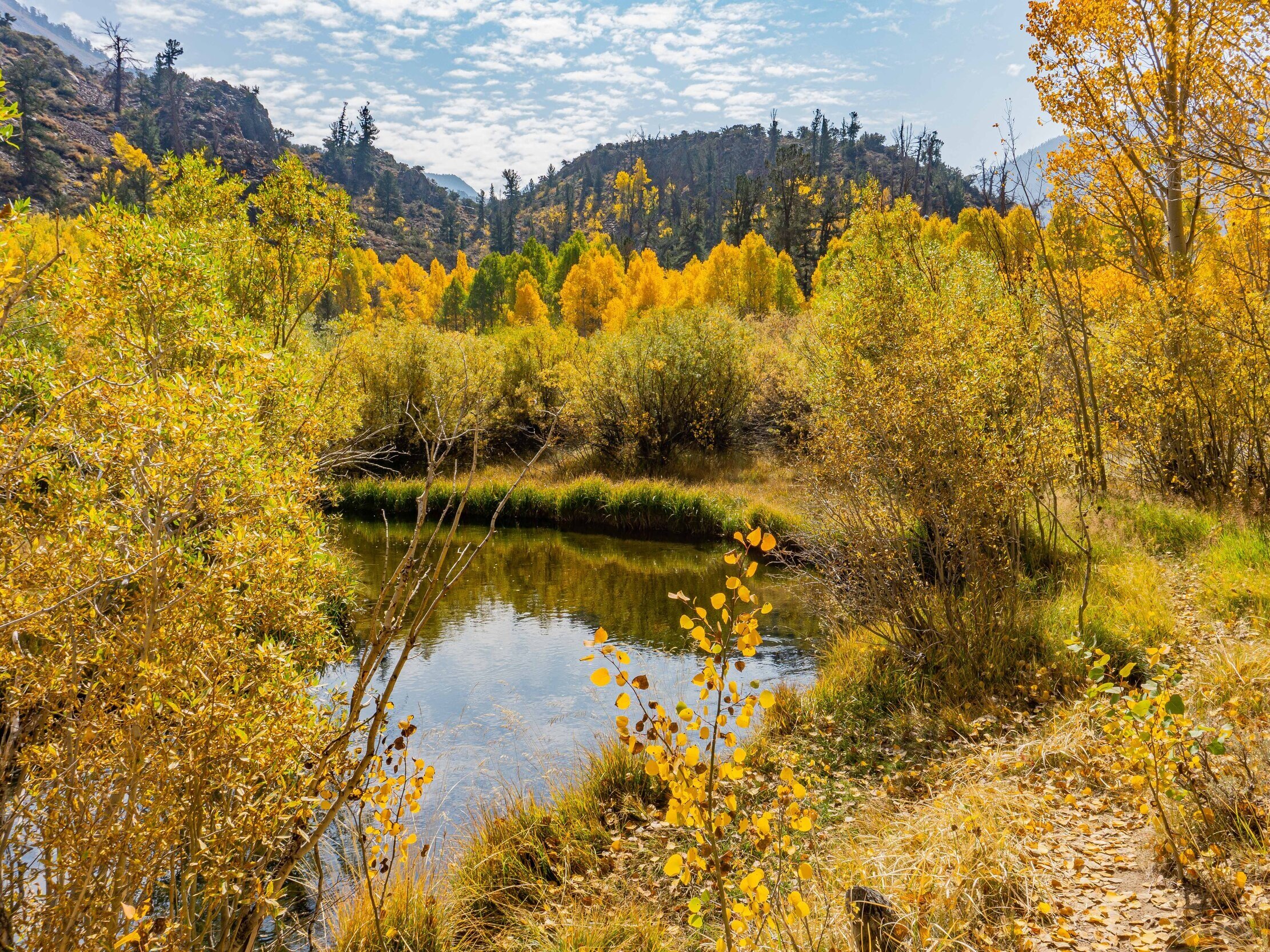 Fall Color Guide for Mammoth Lakes and Nearby Areas - Travel Guide ...