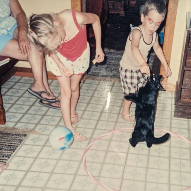 Training cats since 1987