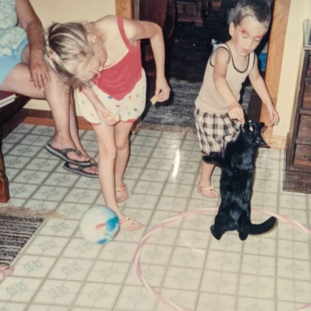 Training cats since 1987