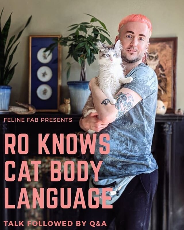 In less than a week I'll be giving my talk on cat body language! Come to Satya counseling next Thursday, March 12th at 7pm to listen to me talk, ask me a cat question, and eat some popcorn! Link to FB event in bio