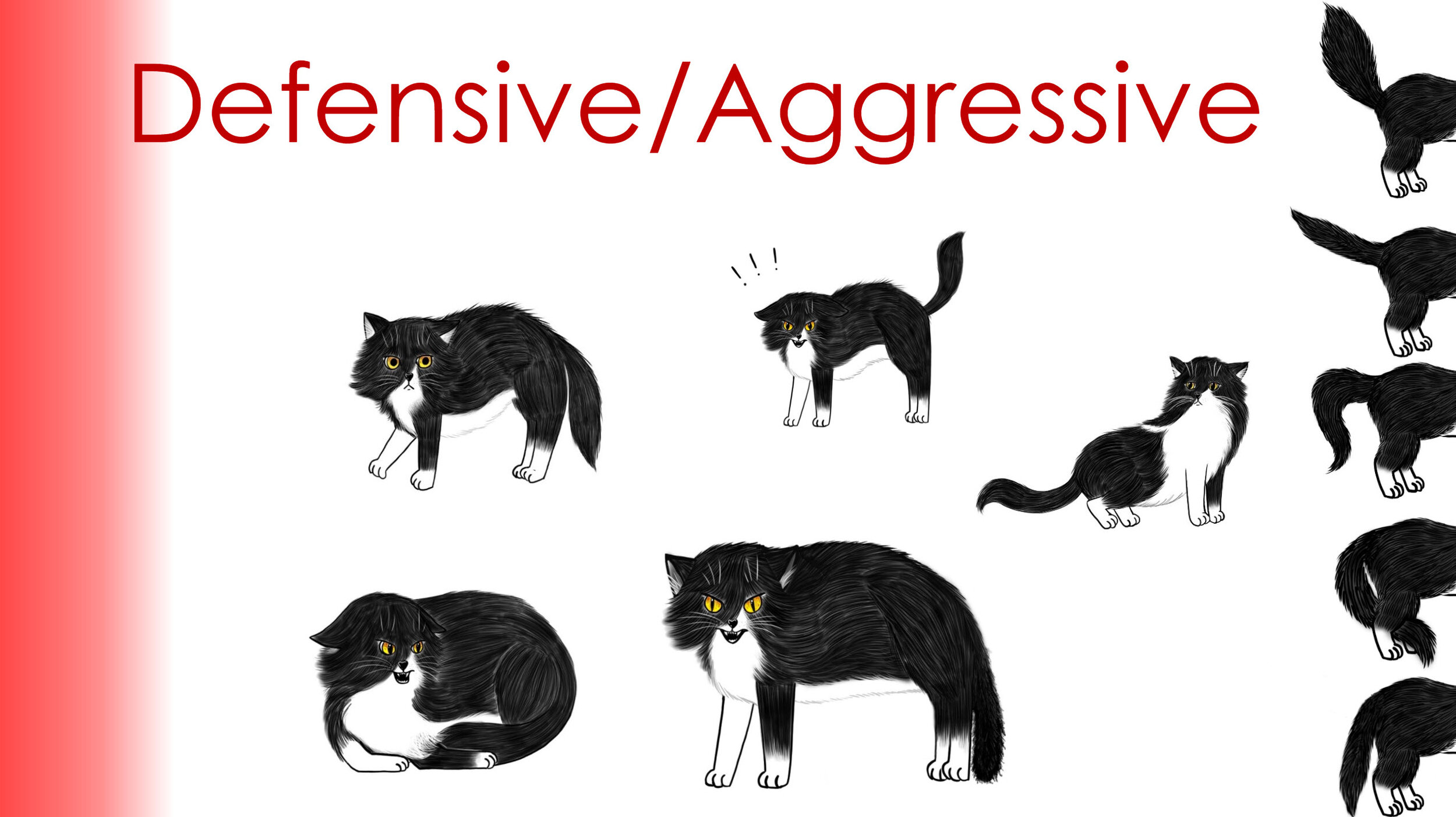 Angry, Aggressive Cats - Catwatch Newsletter