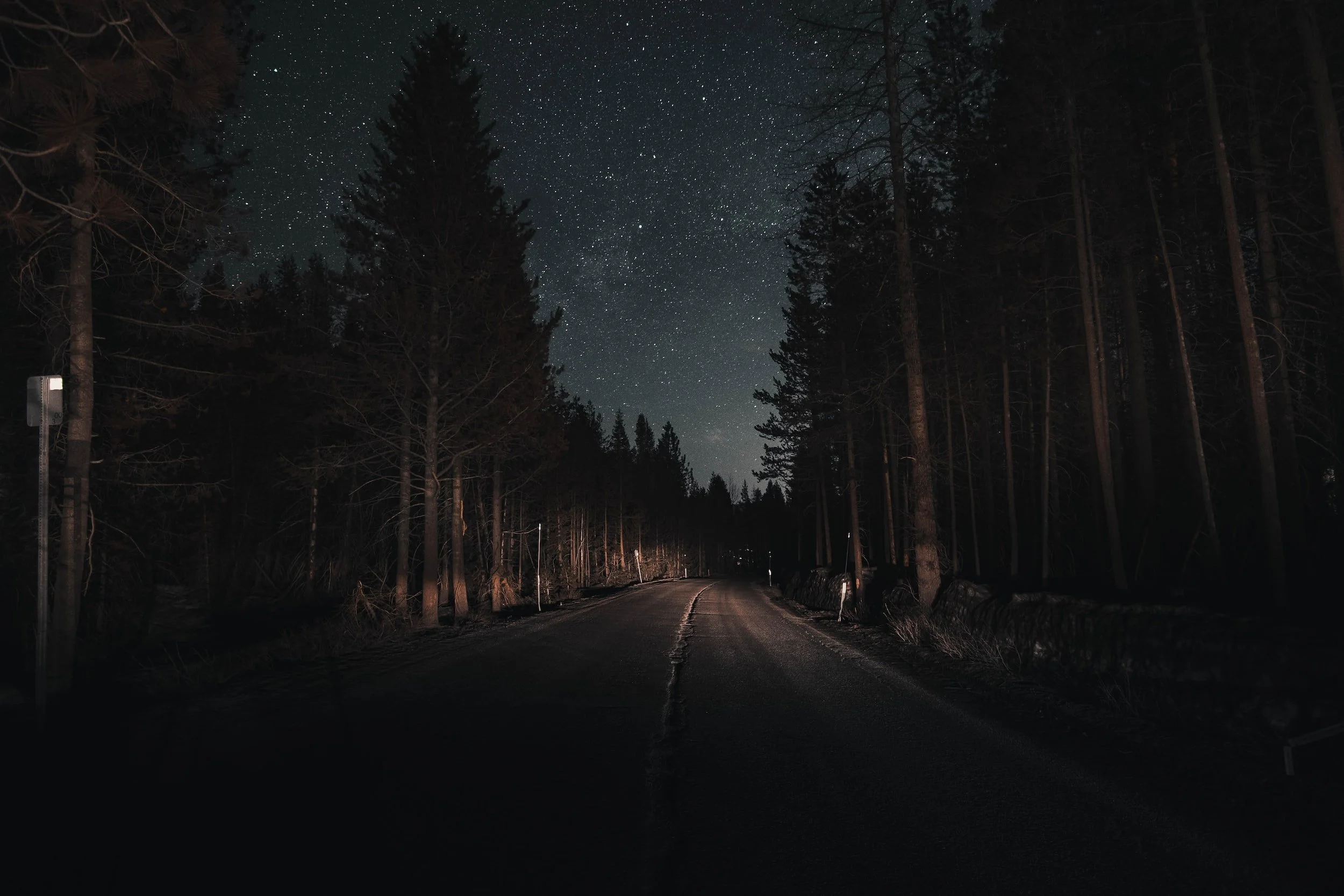 What We See in the Dark