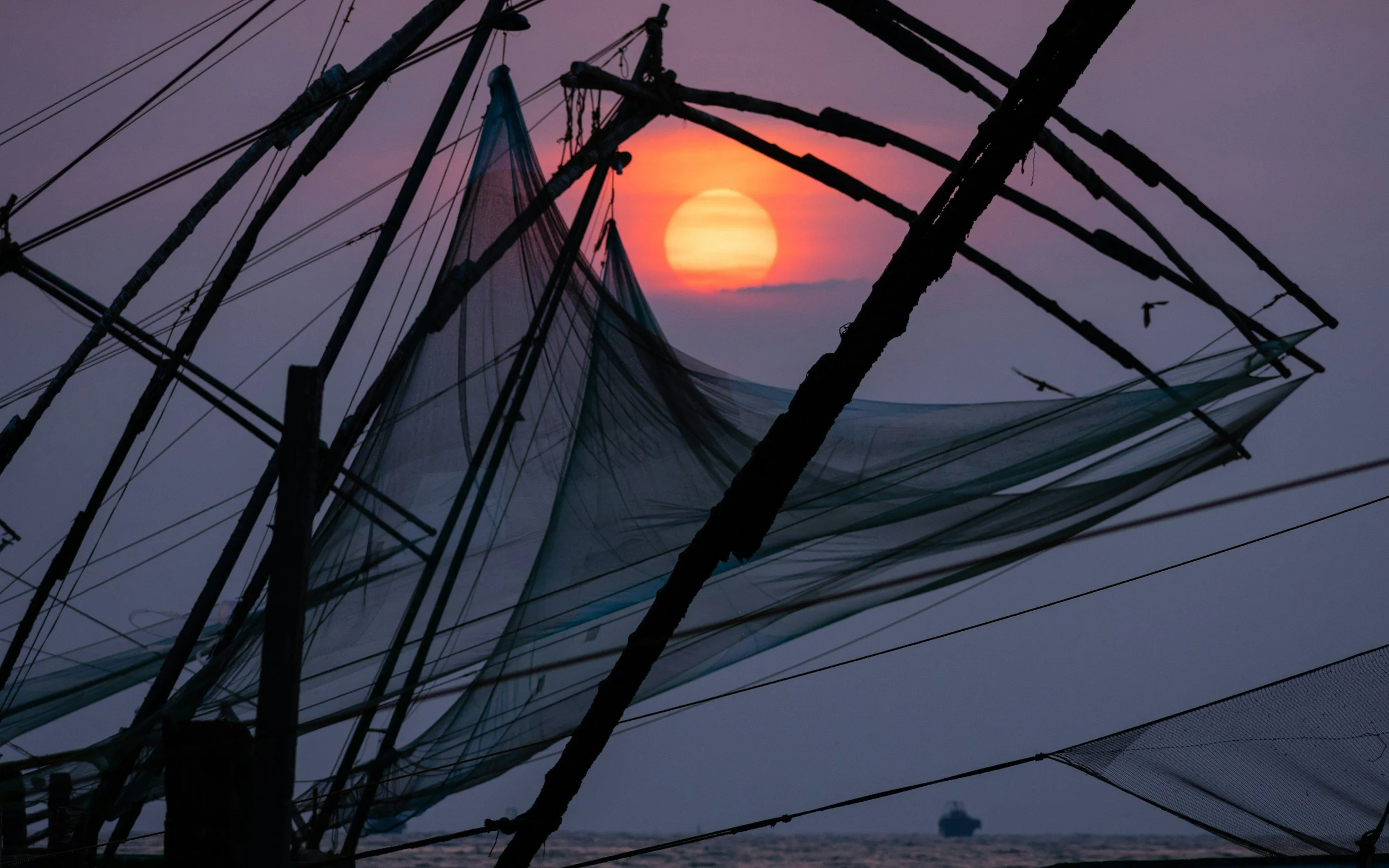 Caught in the Net