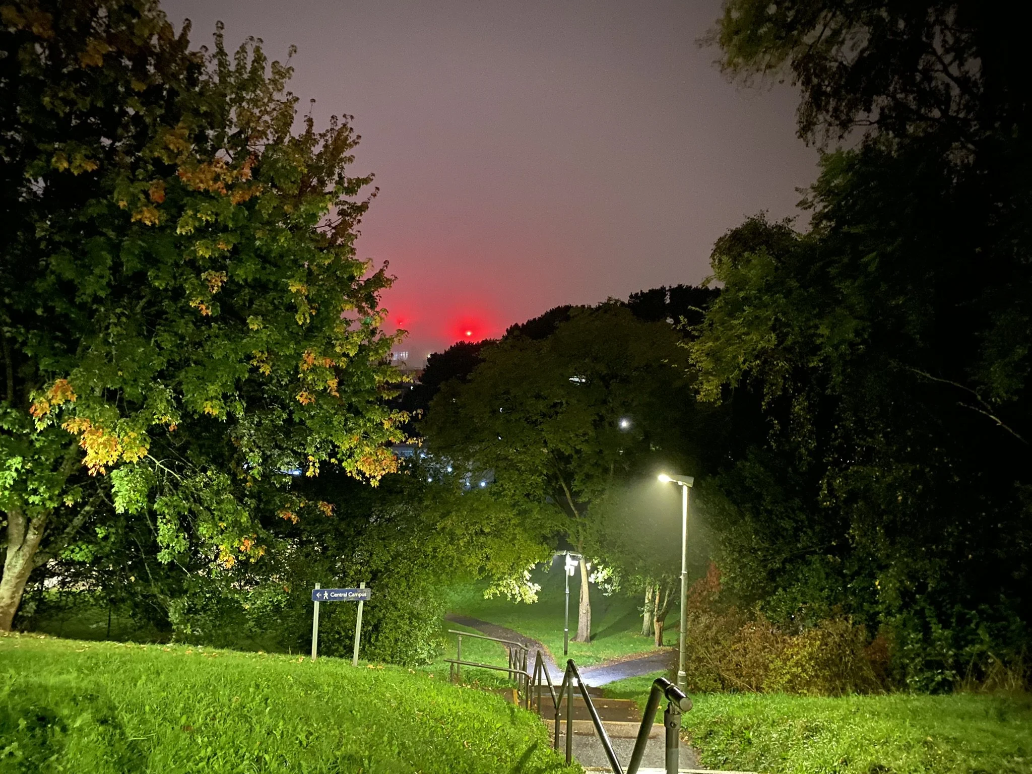 The Olivine and Pyroxene Dictator