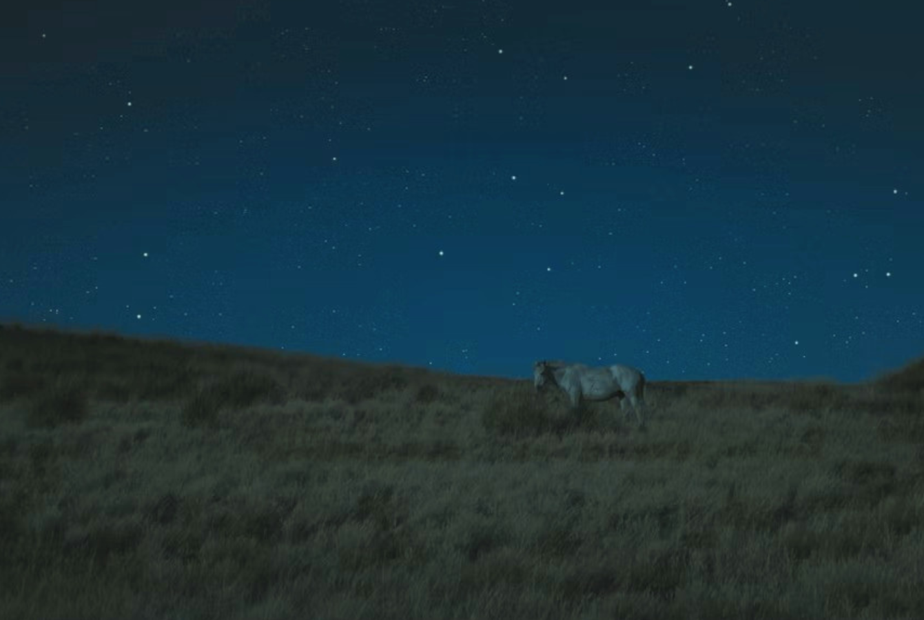 A Rainbow at Night