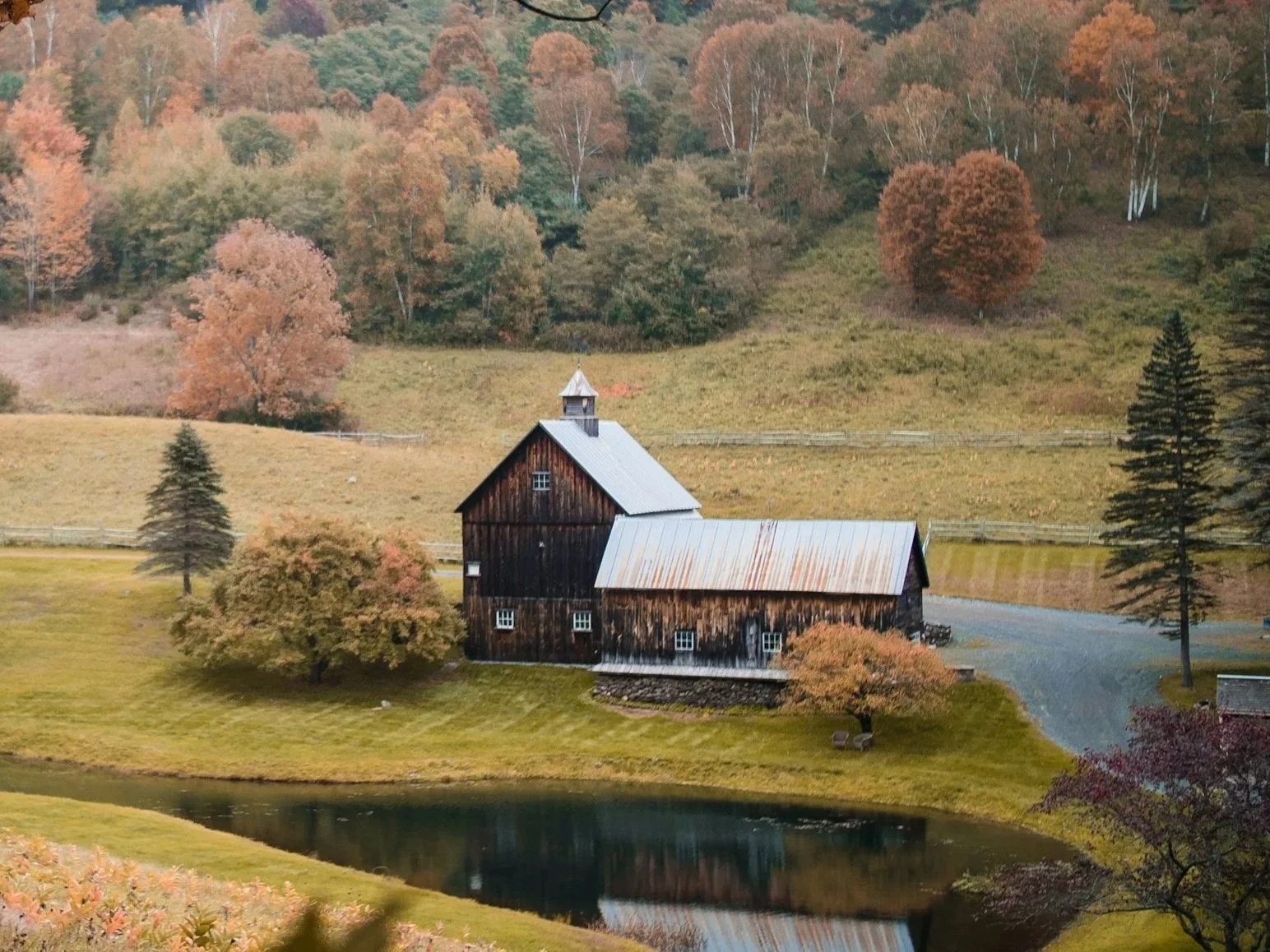 In the Barn