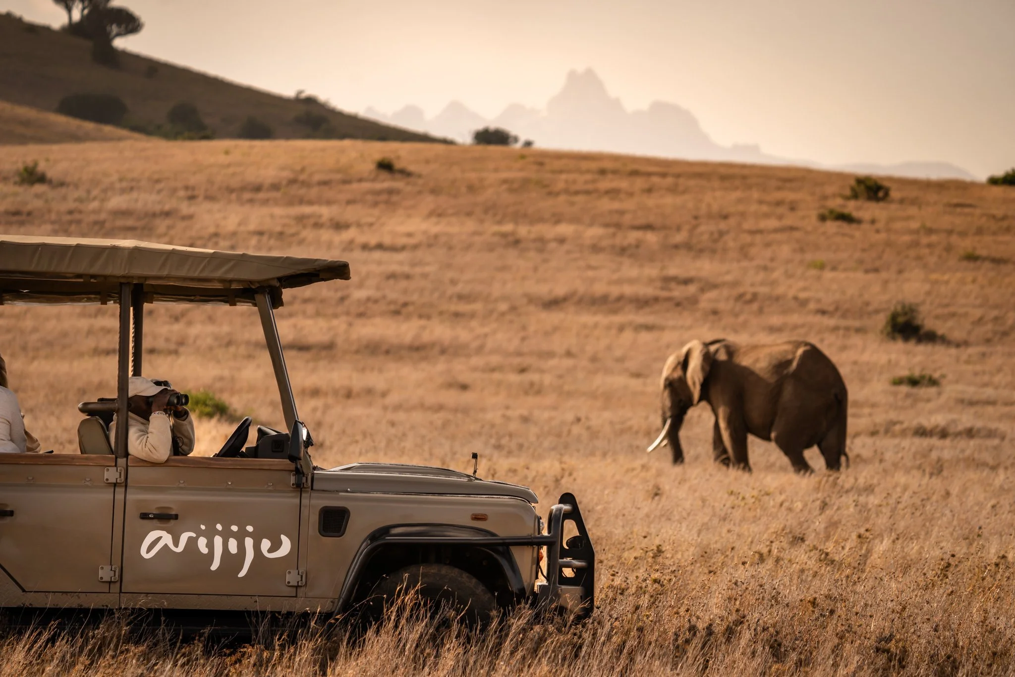 Safari + Wildlife