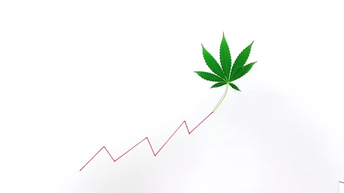 Stock That Wall Street Thinks Will be the Biggest Winner