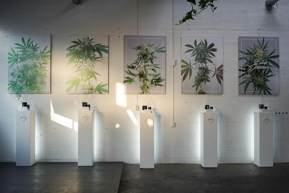 8 Luxury Canadian Cannabis Brands