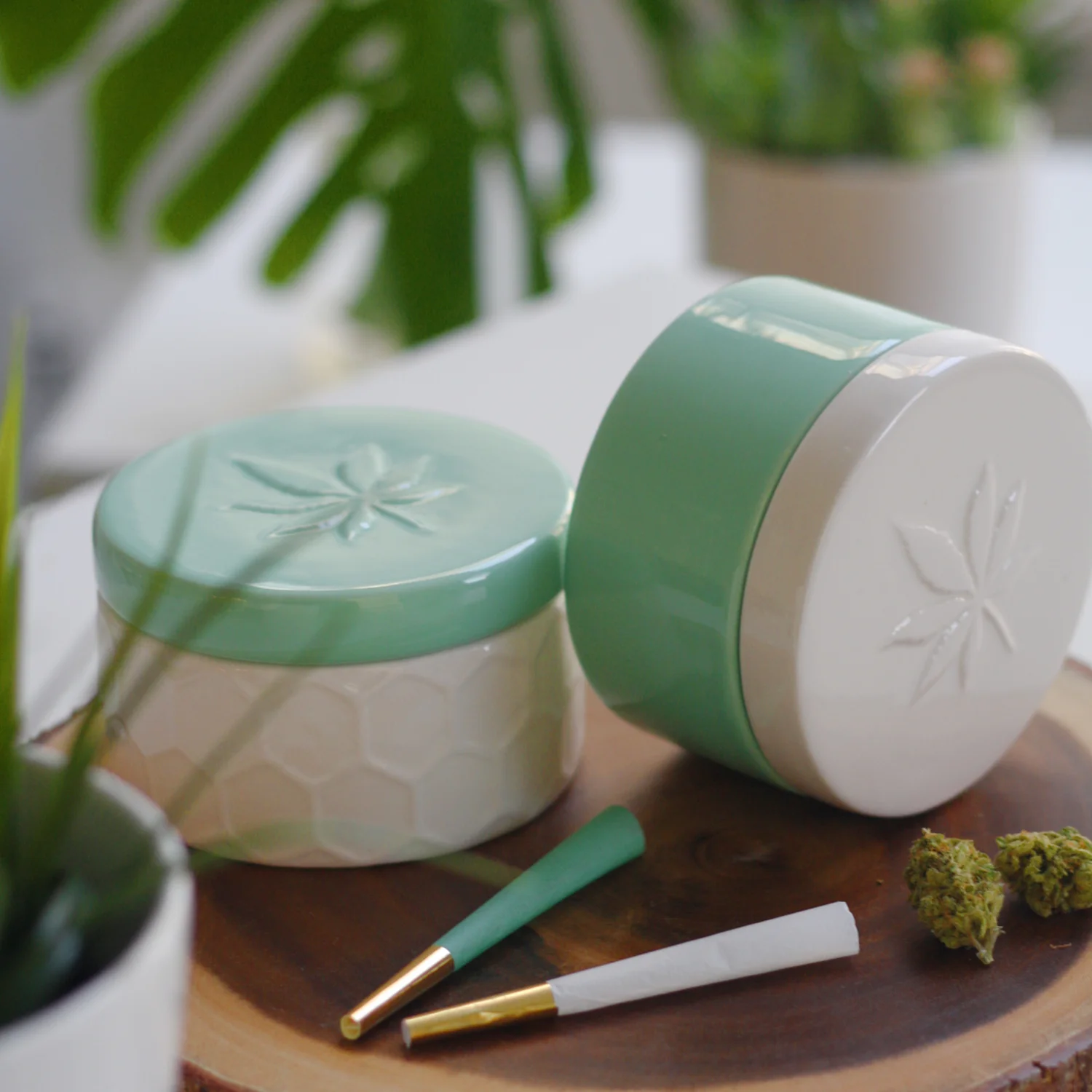 GREEN QUEEN &amp; PURA Limited Edition Stash Box