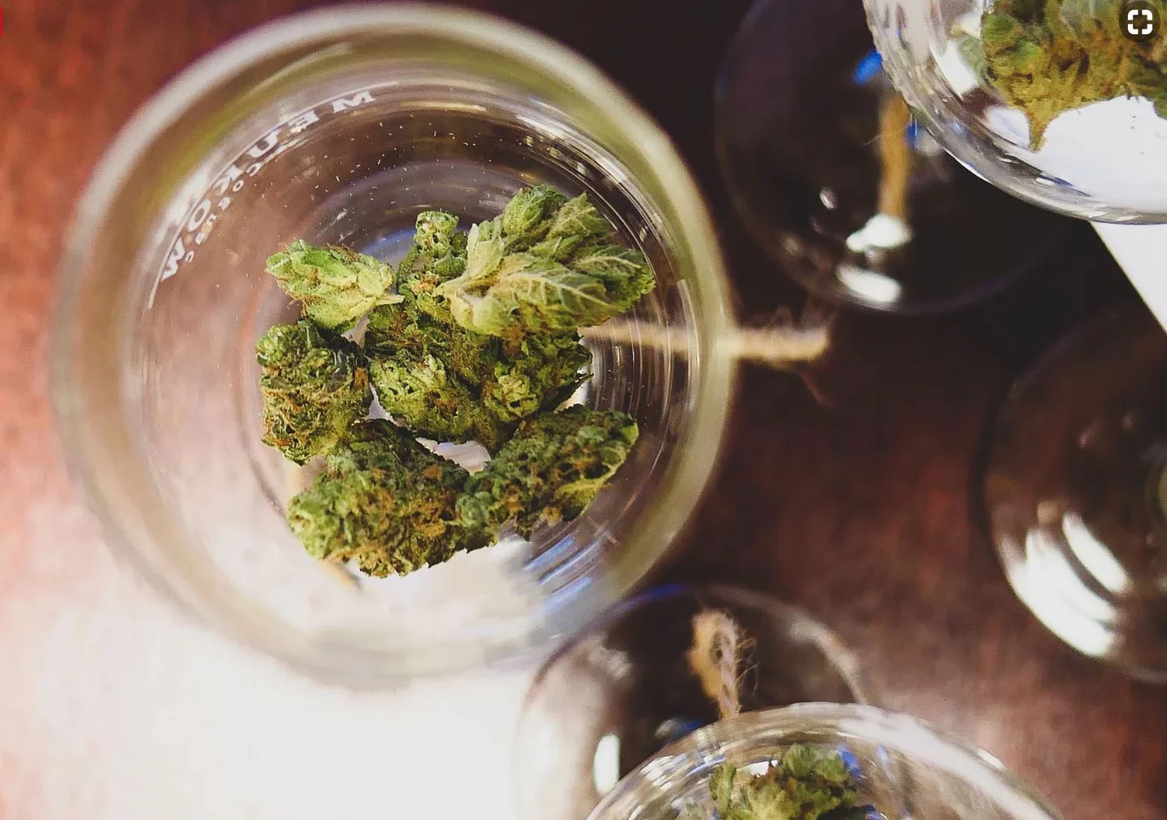  Identifying Flaws in Flower