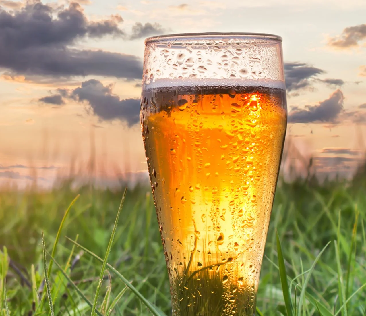 CERIA Brewing Company