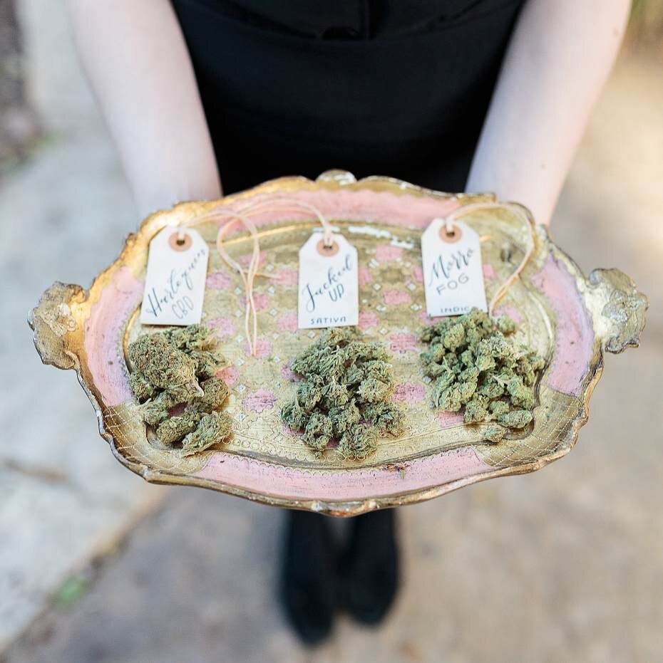 Serve it Up!
www.cannconnoisseur.com 
#cannabis, #luxury, #followme, #fashion, #design, #beauty, #health, #style, #food, #drinks, #travel, #look, #stylish, #goodvibes, #inspire, #420, #trend, #weed, #instadaily, #photooftheday