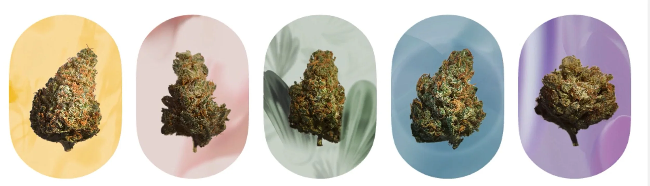 Tokyo Smokes. Cannabis, With Intent