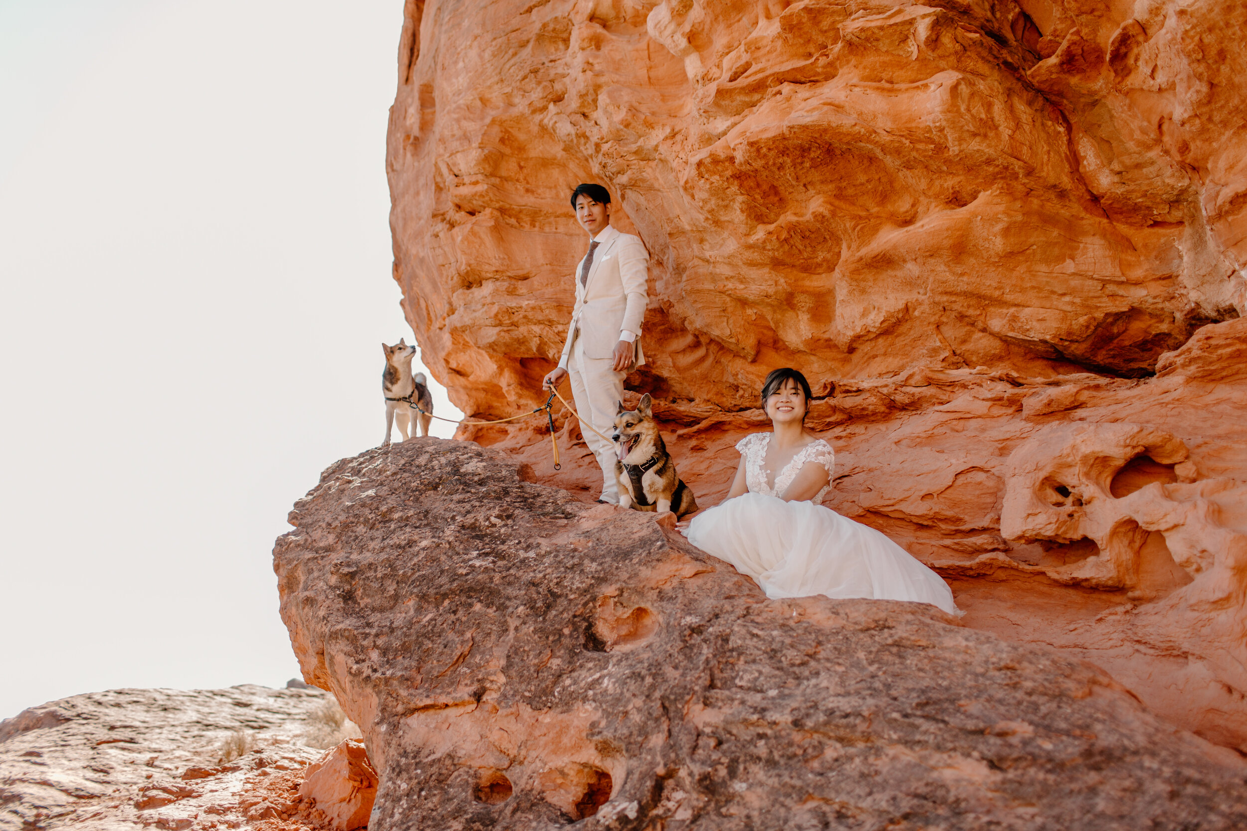  Utah elopement couple laughs with their dogs. Groom is standing and bride is sitting on a ledge on a wall of red rock in St. George Utah. Utah elopement photographer, Lucy B. Photography. 