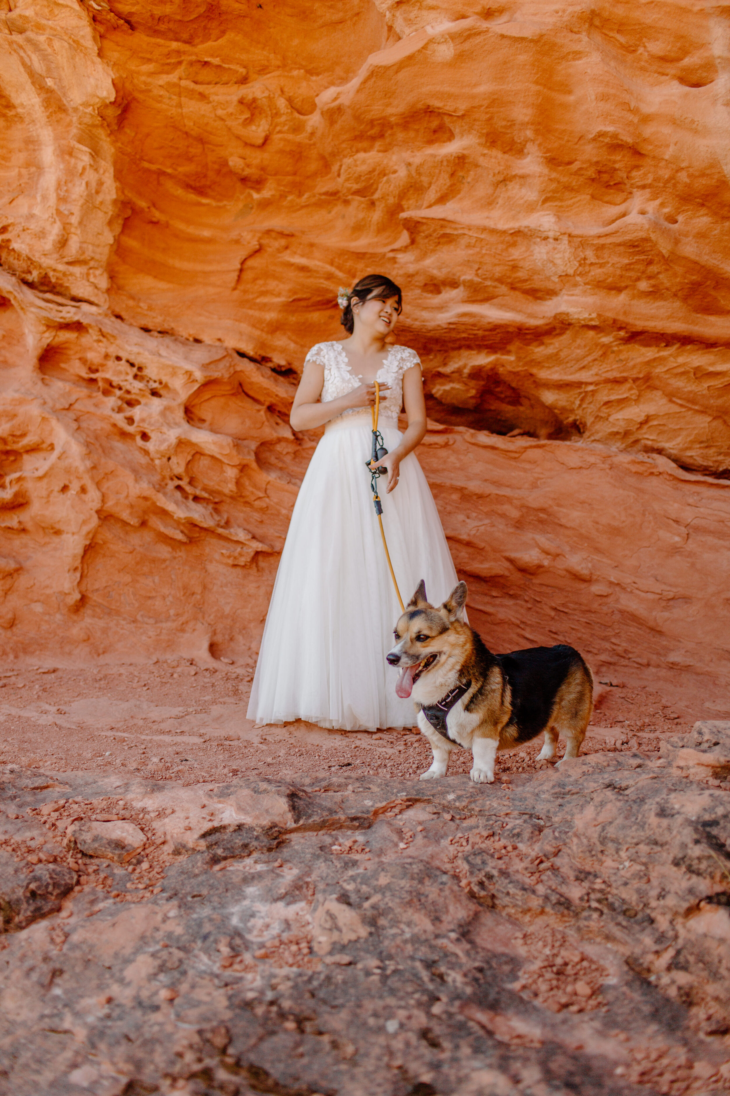  Utah elopement bride stands in front of a red rock wall while holding her corgi on a leash and laughing  in St. George Utah. Utah elopement photographer, Lucy B. Photography. 