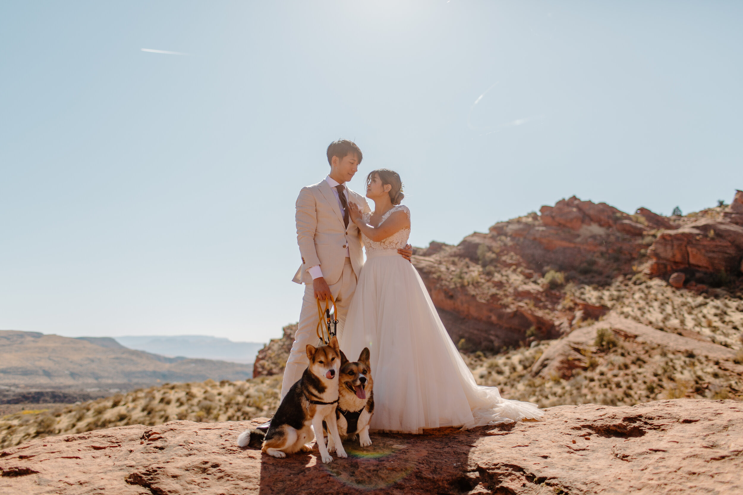  Utah elopement couple looks at each other in front of a mountain landscape with their corgi and shiba inu on leashes in St. George Utah. Utah elopement photographer, Lucy B. Photography. 