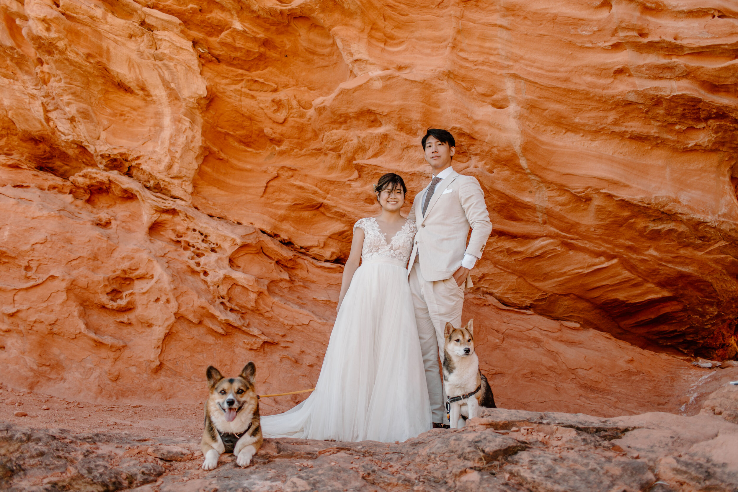  Utah elopement couple smiles at the camera with their dogs at their feet in front of a red rock wall in St. George Utah. Utah elopement photographer, Lucy B. Photography. 