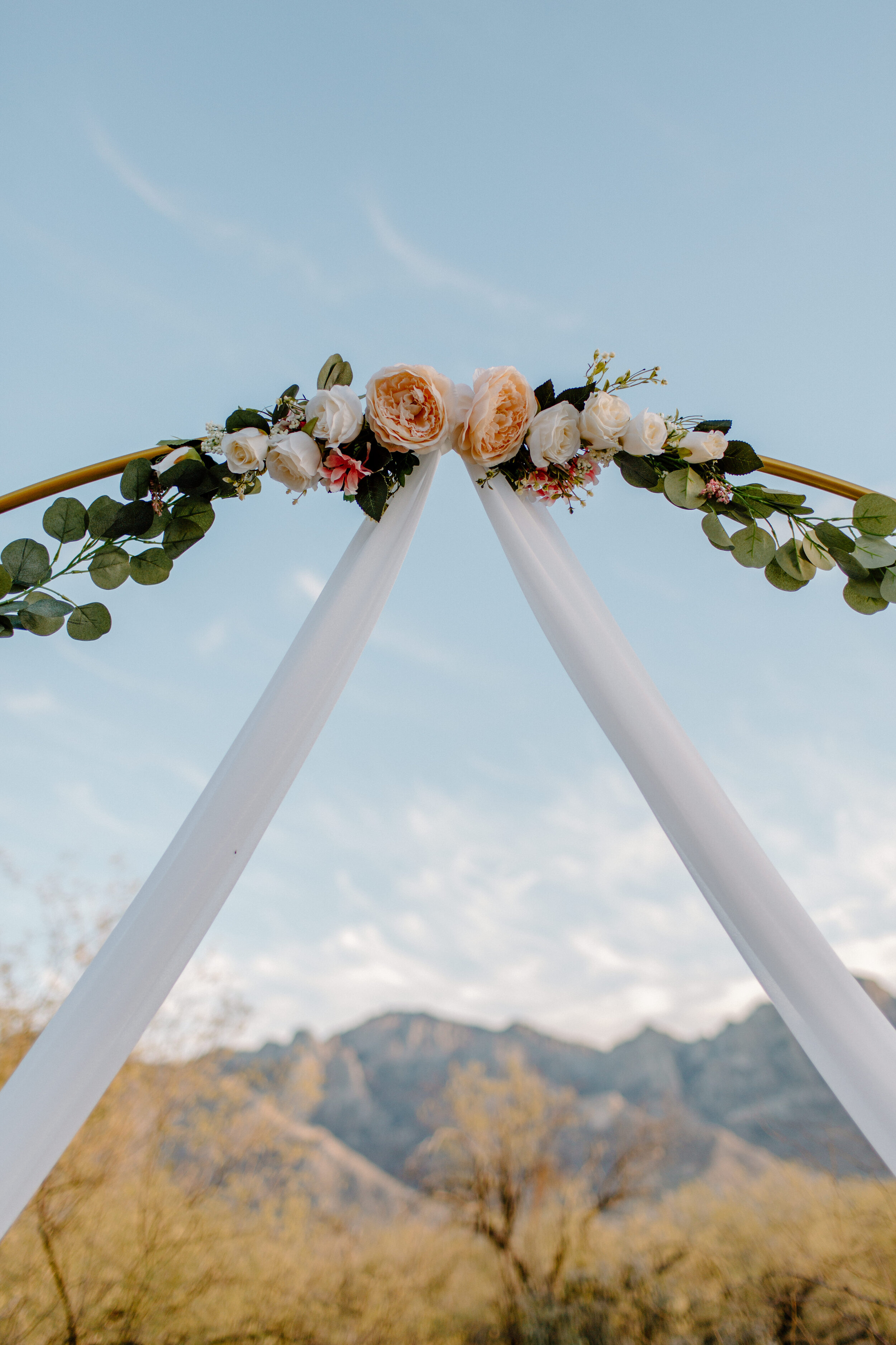  Close up photo of floral arch in front of a mountain backdrop in Catalina State Park in Tucson. Tucson elopement photographer, Lucy B. Photography. 