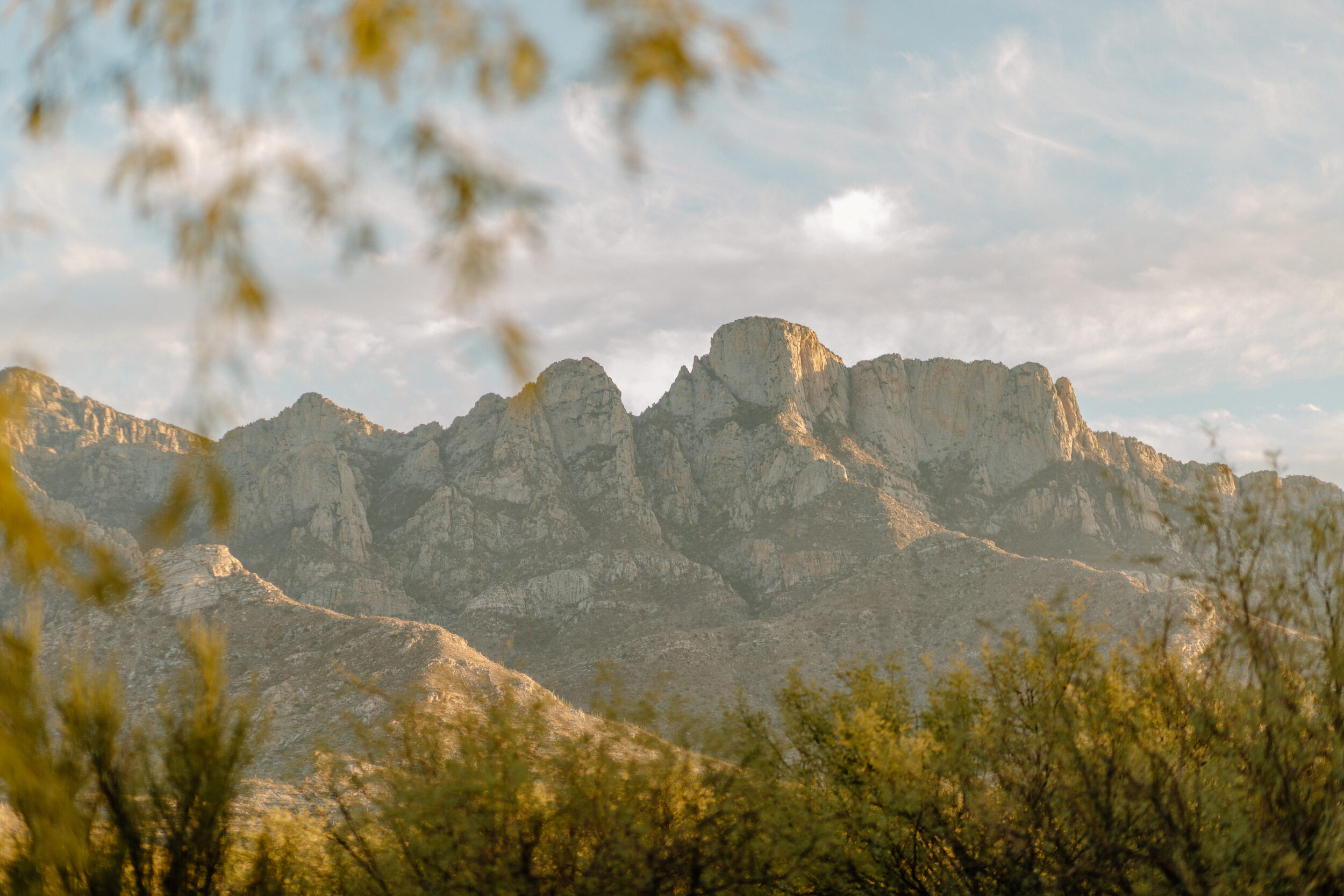  Landscape photo of the Catalina Mountains before and elopement in Catalina State Park in Tucson. Tucson elopement photographer, Lucy B. Photography. 
