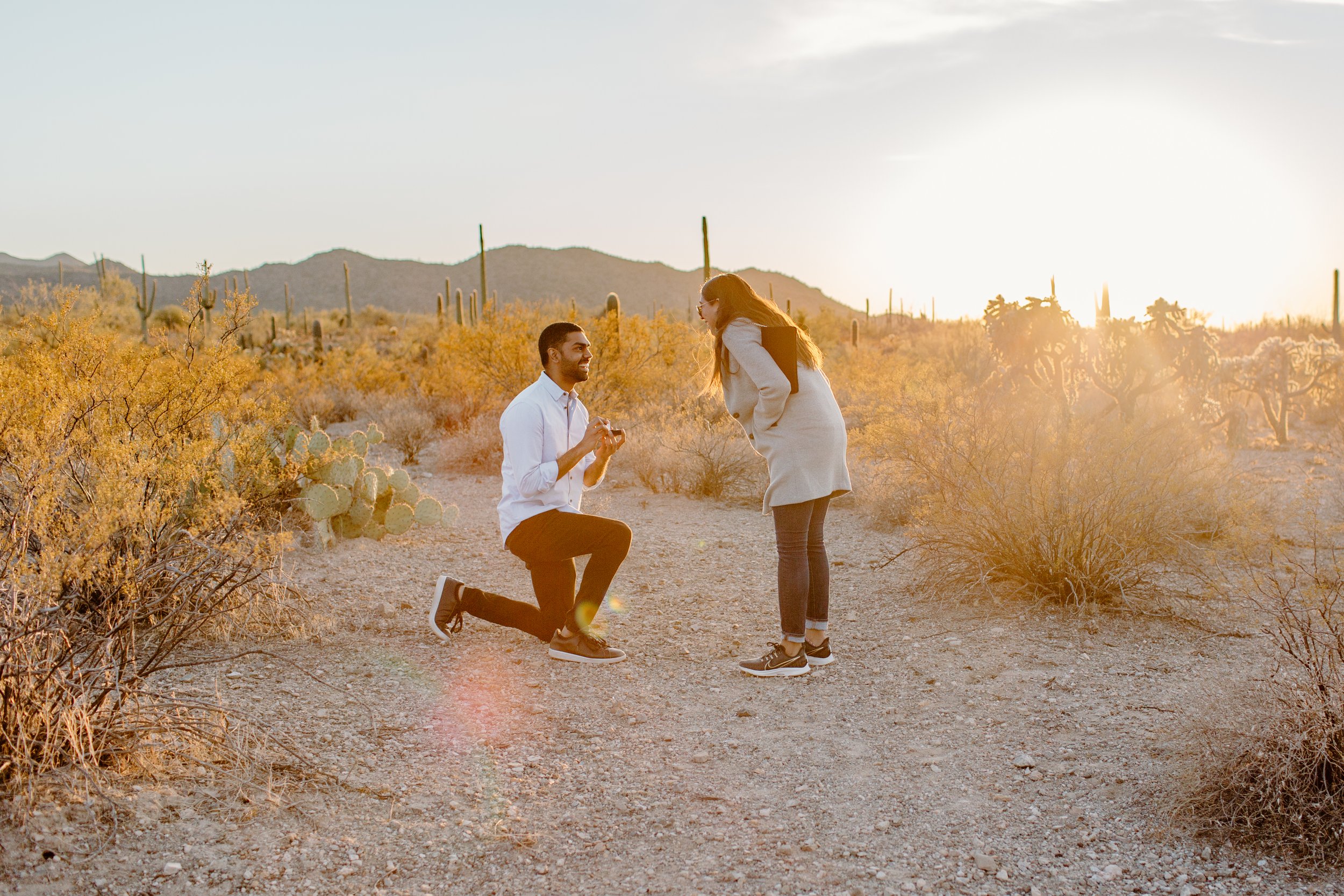  Man proposes to his girlfriend and she reacts happily surrounded by cacti in the desert of Tucson Arizona 