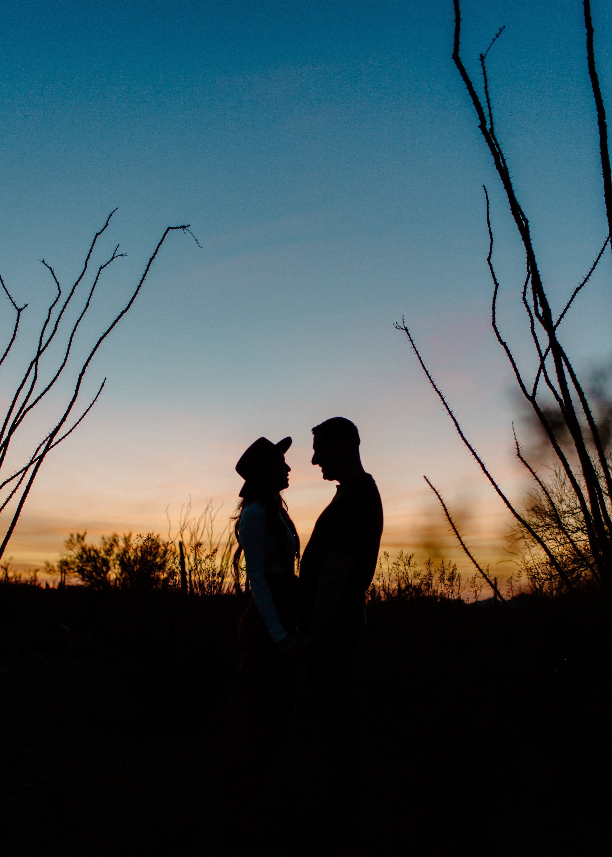  Silhouette of a couple together in front of a sunset with ocotillo cactus in Tucson Arizona 
