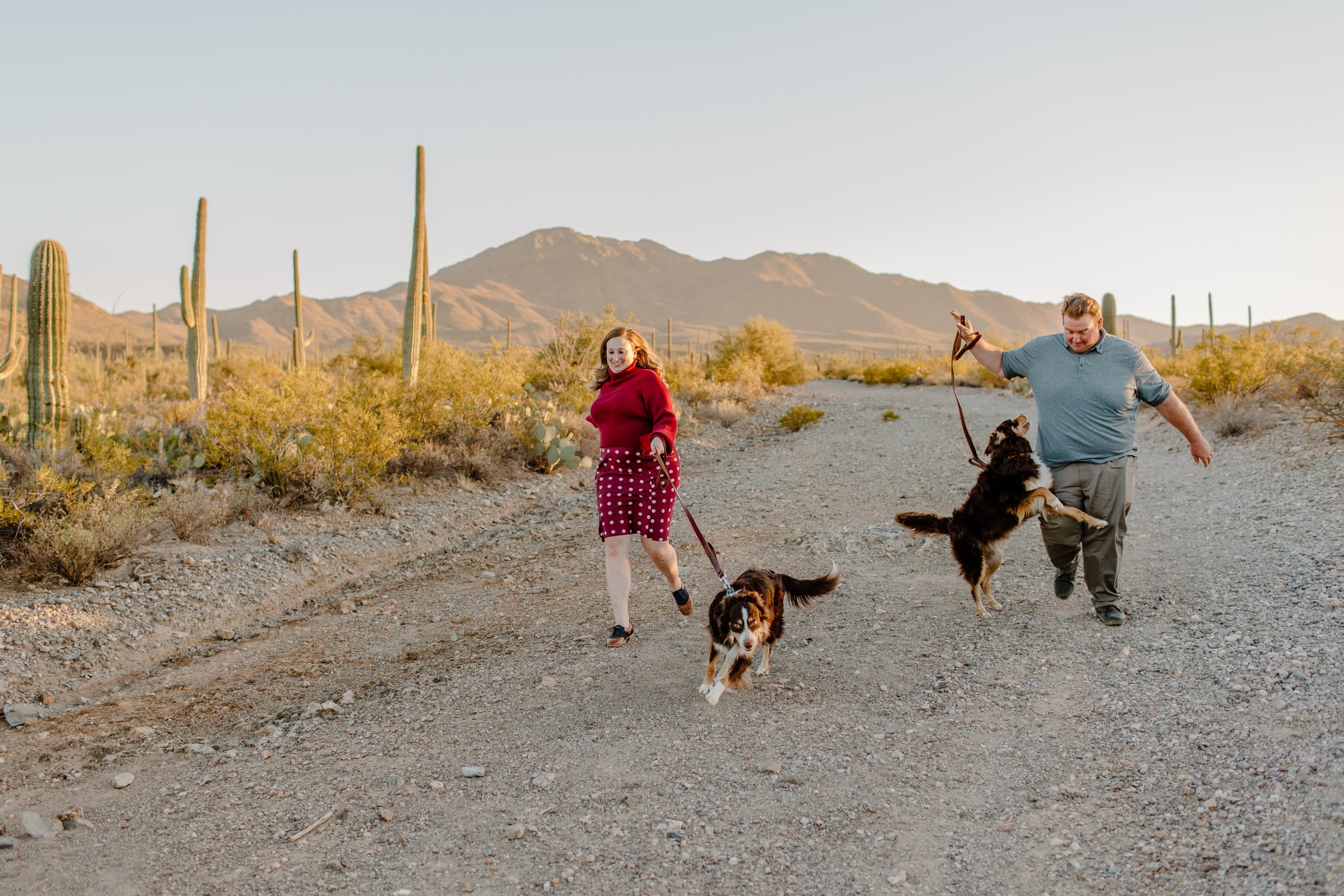  Couple runs together down a path with their two Aussies in Saguaro National Park in Tucson Arizona 