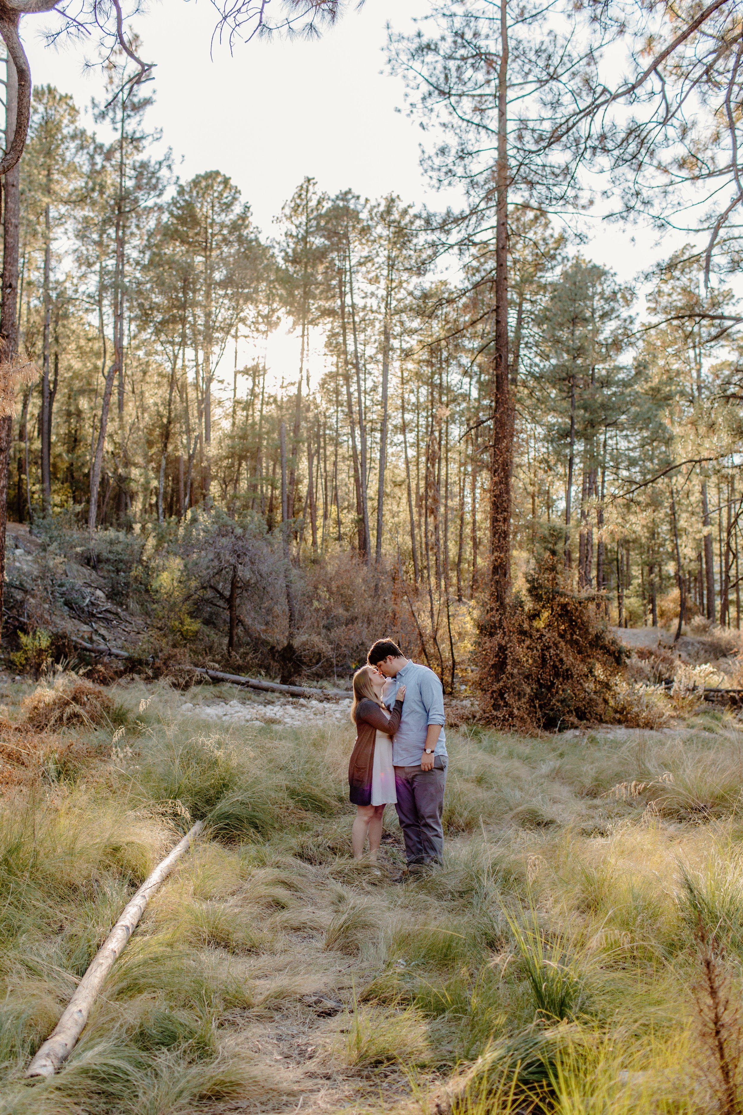  Couple shares a kiss in a grassy patch in a forest setting on Mount Lemmon in Tucson Arizona 