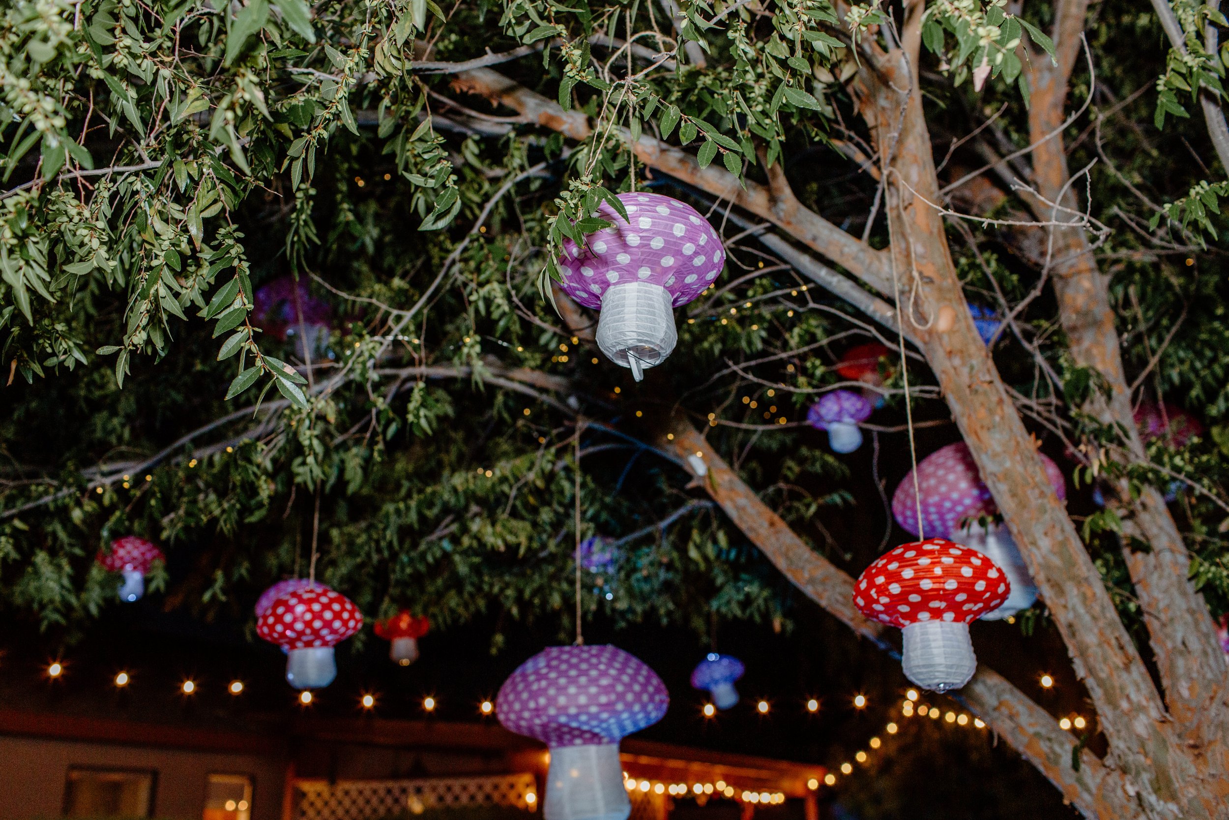  mushroom wedding decor in trees of reception after rock climbing session 