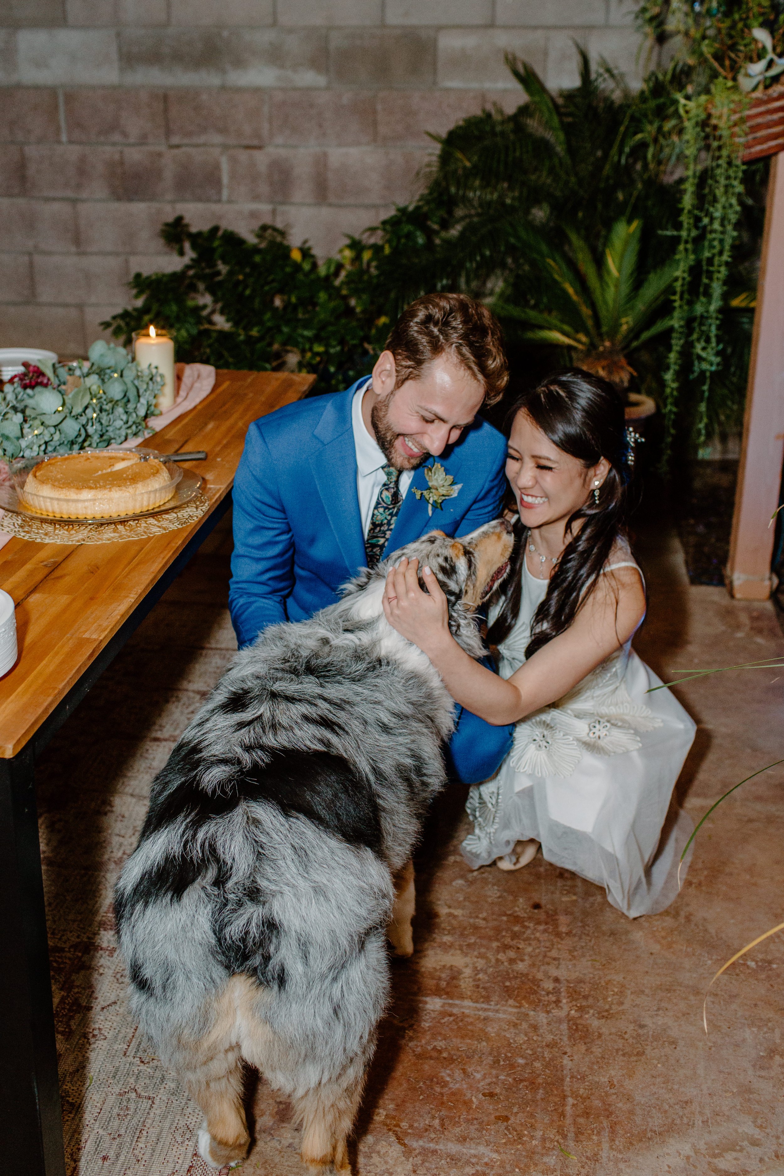 couple sitting with dog at reception after rock climbing session 