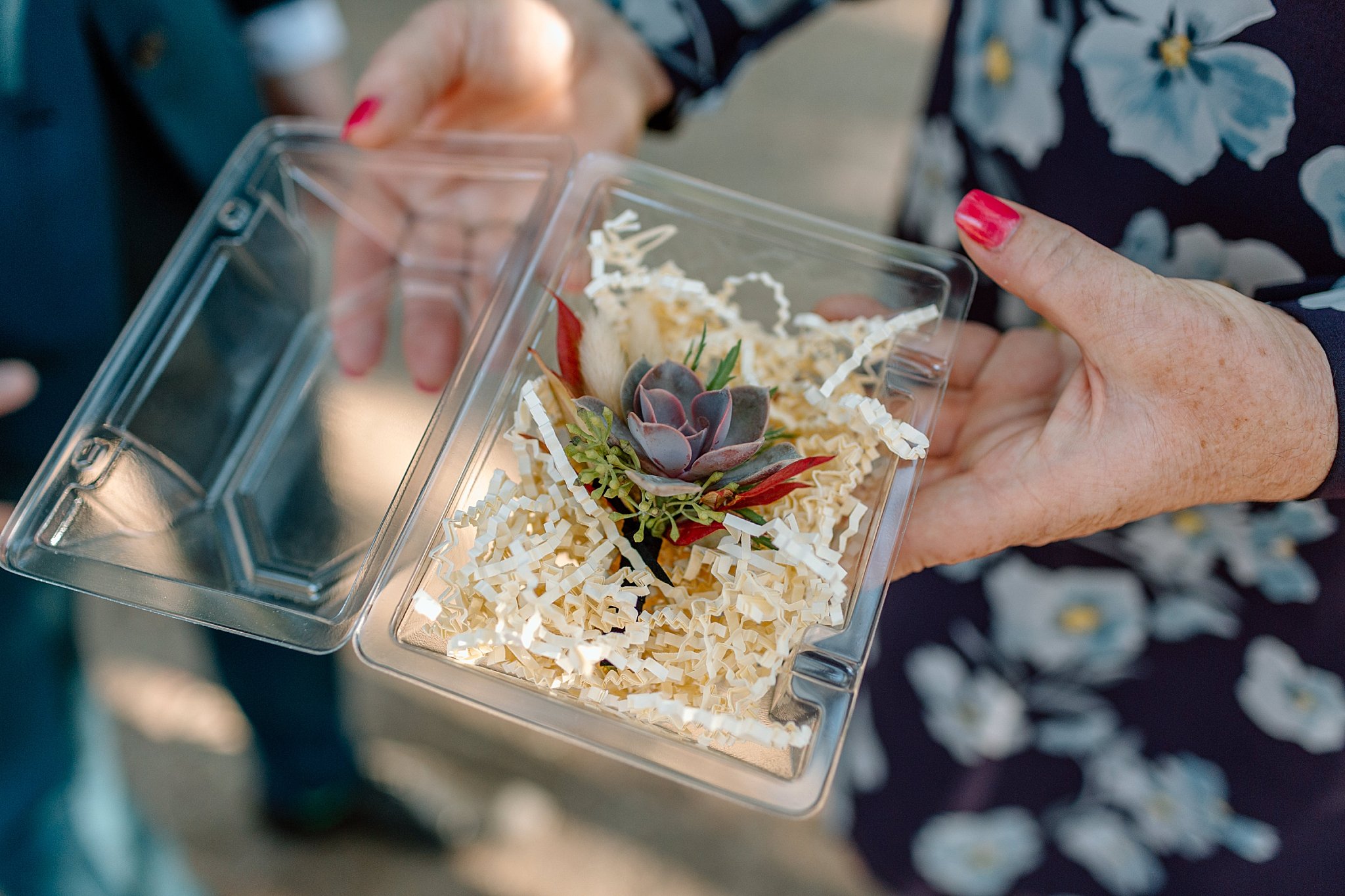  boutonniere displayed in box at Tucson botanical gardens ceremony  