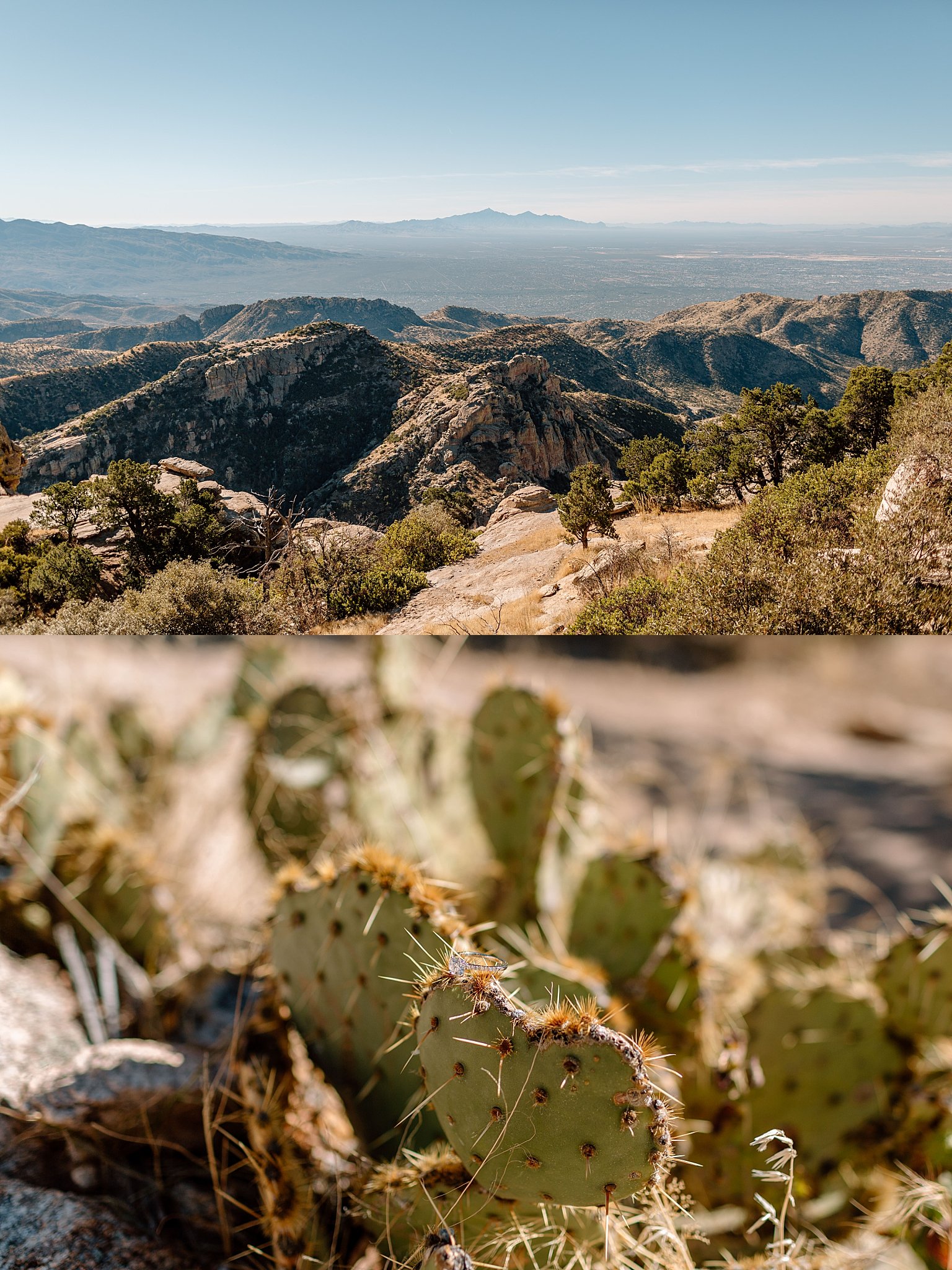  desert landscape and cactus at Mount Lemmon proposal 