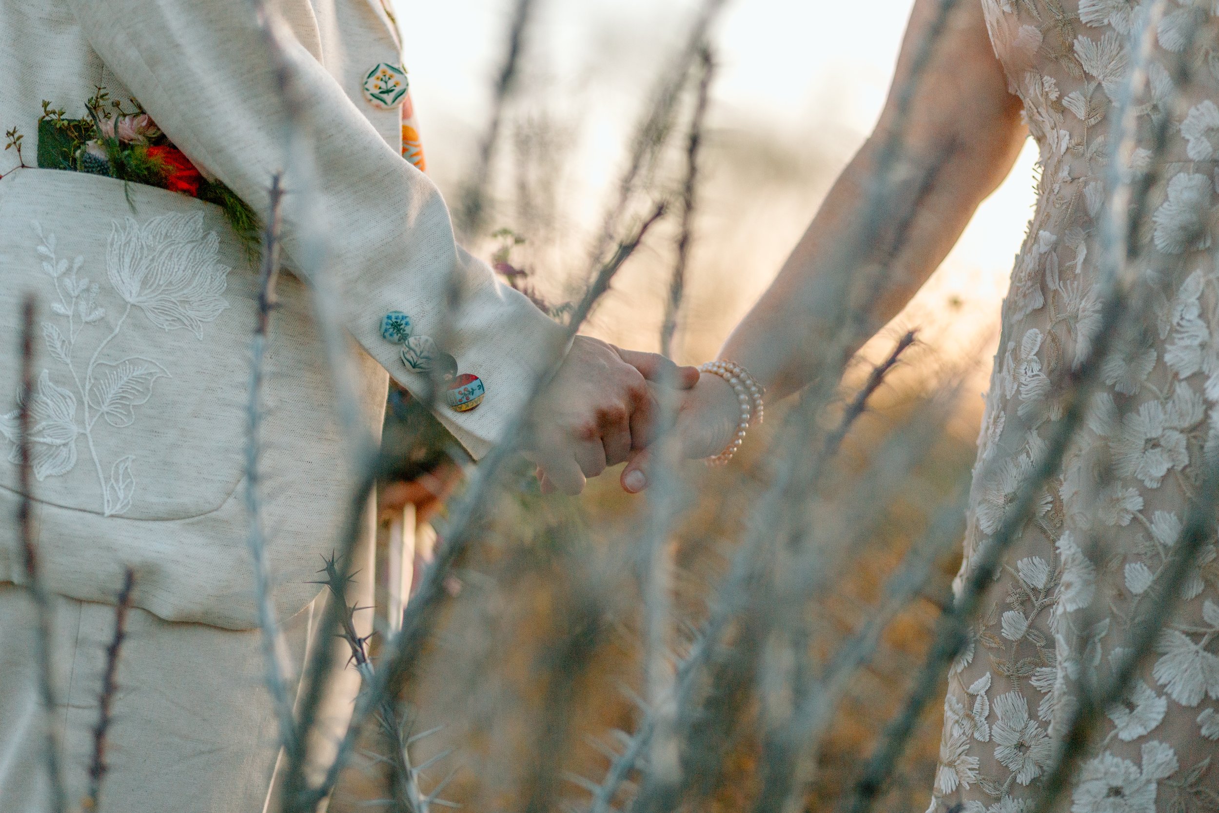 close up of Tucson elopement couple hands behind an ocotillo cactus