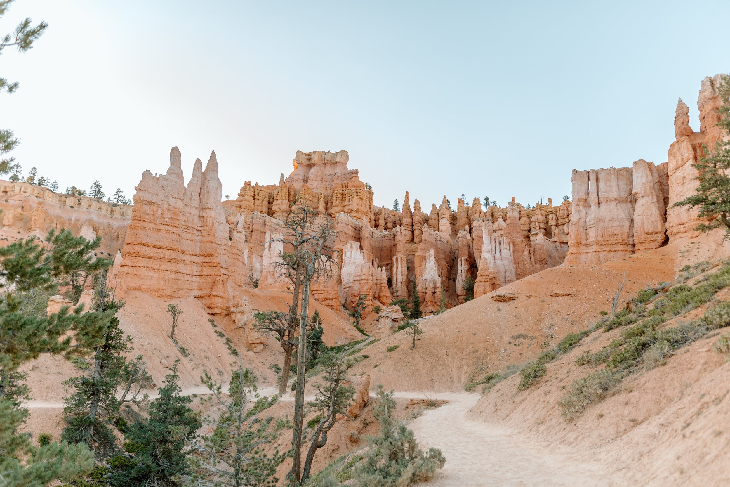  landscape photo of hoodoos at bryce canyon national park by utah elopement photographer 