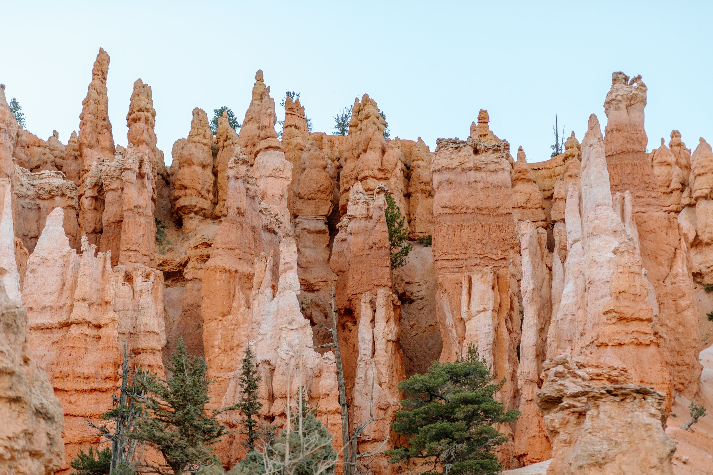  landscape photo of hoodoos at bryce canyon national park by utah elopement photographer 