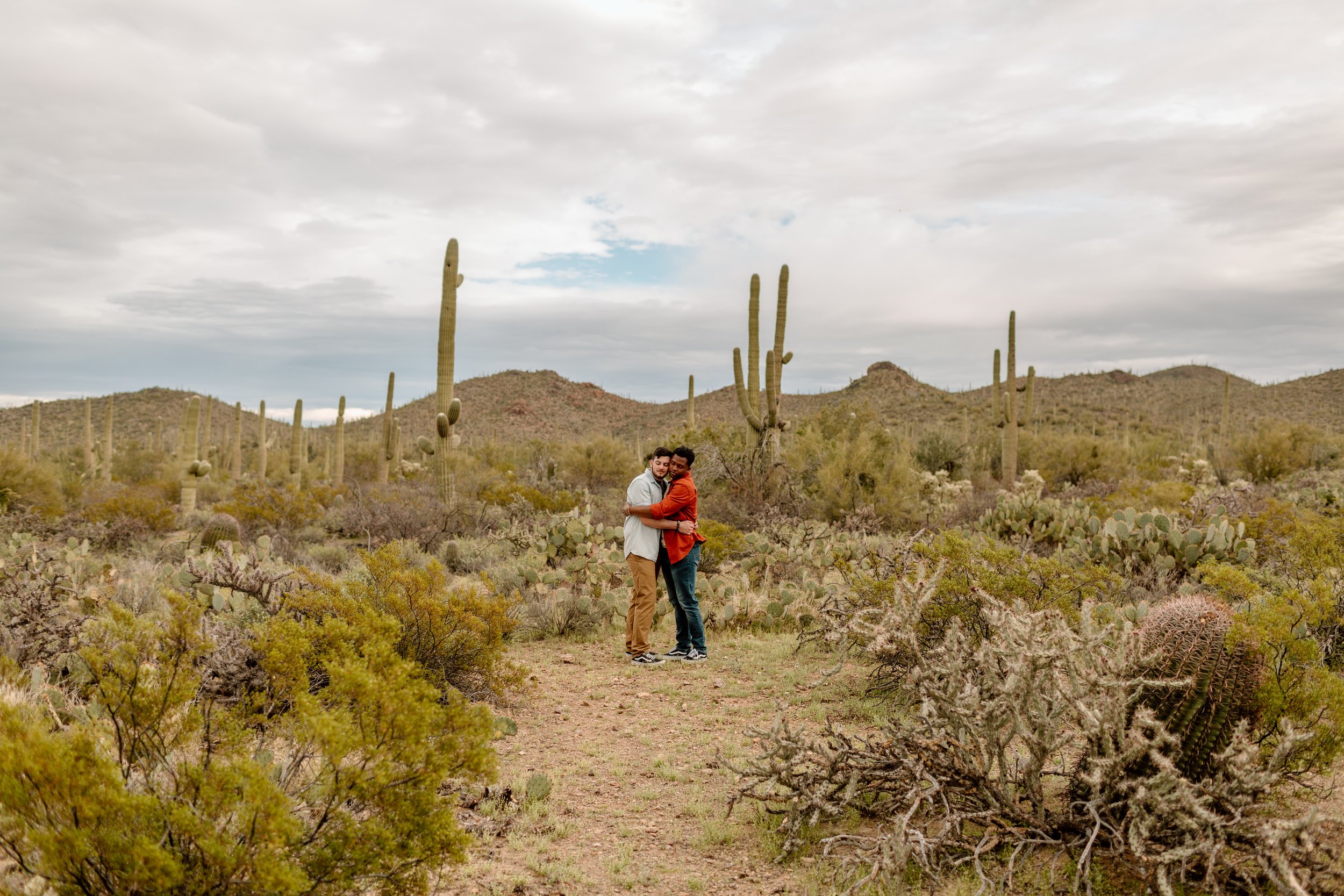  wide shot of couple holding each other in the sonoran desert 