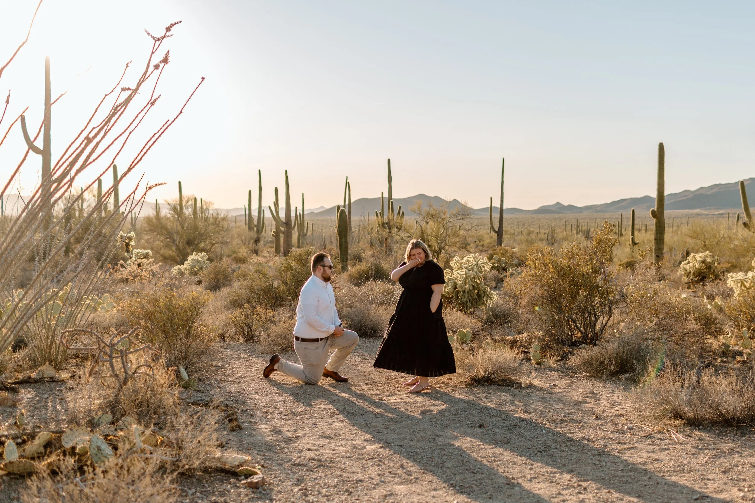 Tucson proposal photographer