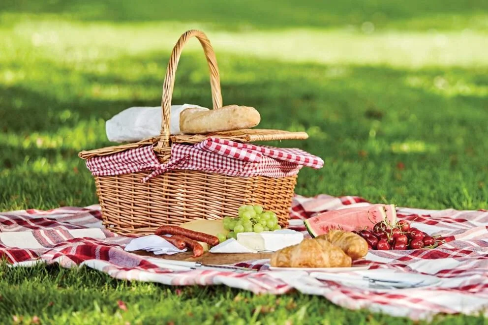 Spring Picnic
