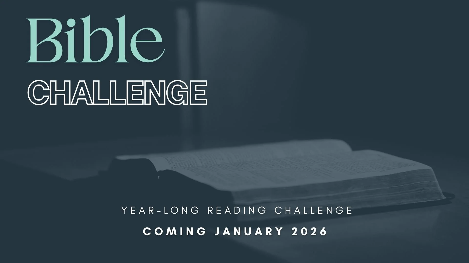 Bible Challenge